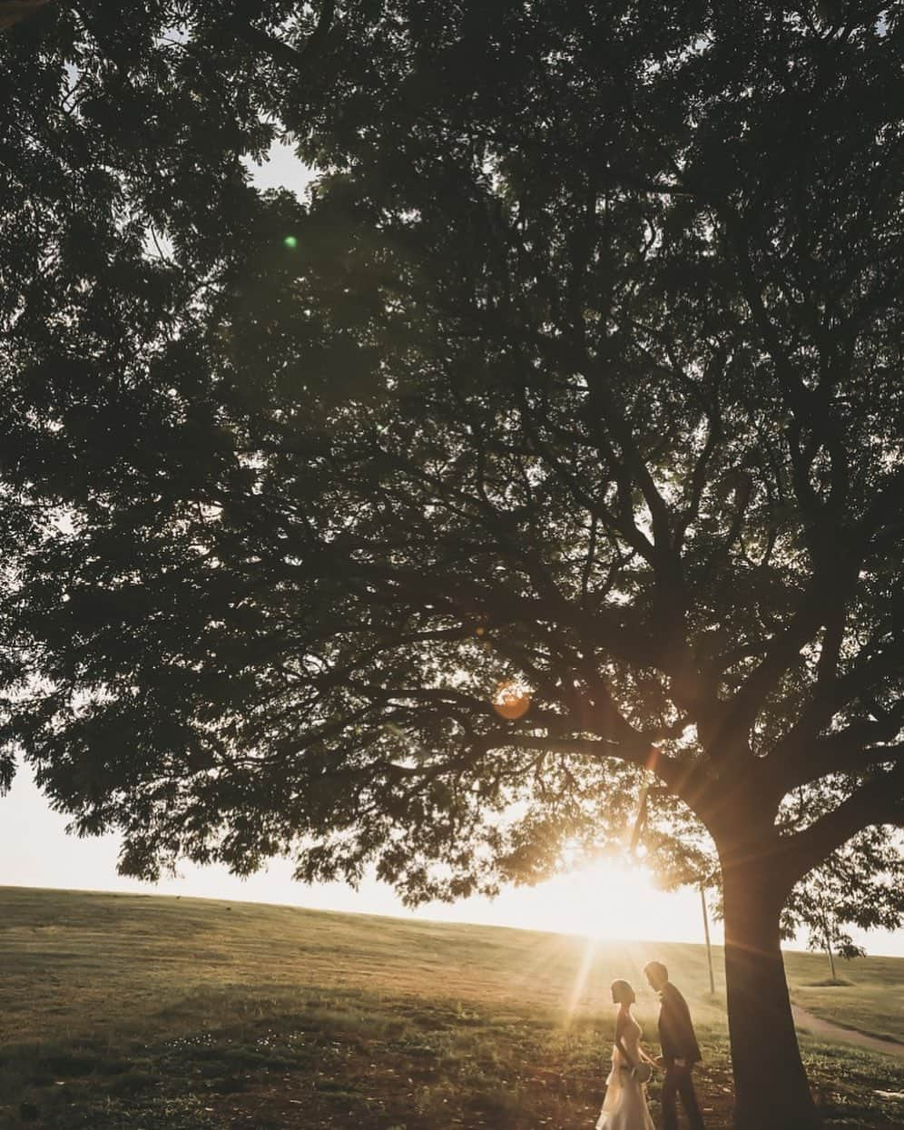 Instagenic Hawaiiさんのインスタグラム写真 - (Instagenic HawaiiInstagram)「. Aloha🌳  色彩豊かなハワイ各島の魅力を表現した、もう一度行きたい、見たいハワイの写真を募集するSNSフォトコンテスト「#カラフルハワイ」のハワイ州観光局長賞をご紹介📸  【ハワイ州観光局長賞】 受賞作品タイトル：Pumehana 撮影場所：カカアコウォーターフロントパーク 受賞作品に対しての想い：ハワイの壮大さや繊細な中に感じられる力強さ、温かさに包まれながら二人の人生が一つとなった日。どんな事も二人で乗り越えられるパワーをくれるこの一枚は、私達にとってとても大切な一枚です。  @pumehana_0421  ----------  やさしい光と大きな木に包まれた美しいウェディングフォトです♡ お二人の大切な瞬間をハワイで撮影してくださったことを嬉しく思います。たくさんの素敵な思い出をこれからも作ってくださいね😌  #ハワイ #フォトコンテスト #カラフルハワイ #写真 #ウェディング #カップル #ロマンス #ロマンチック #フォトウェディング #受賞作品 #ハワイ州観光局 #自然 #ハワイ写真」6月20日 7時33分 - gohawaii_jp