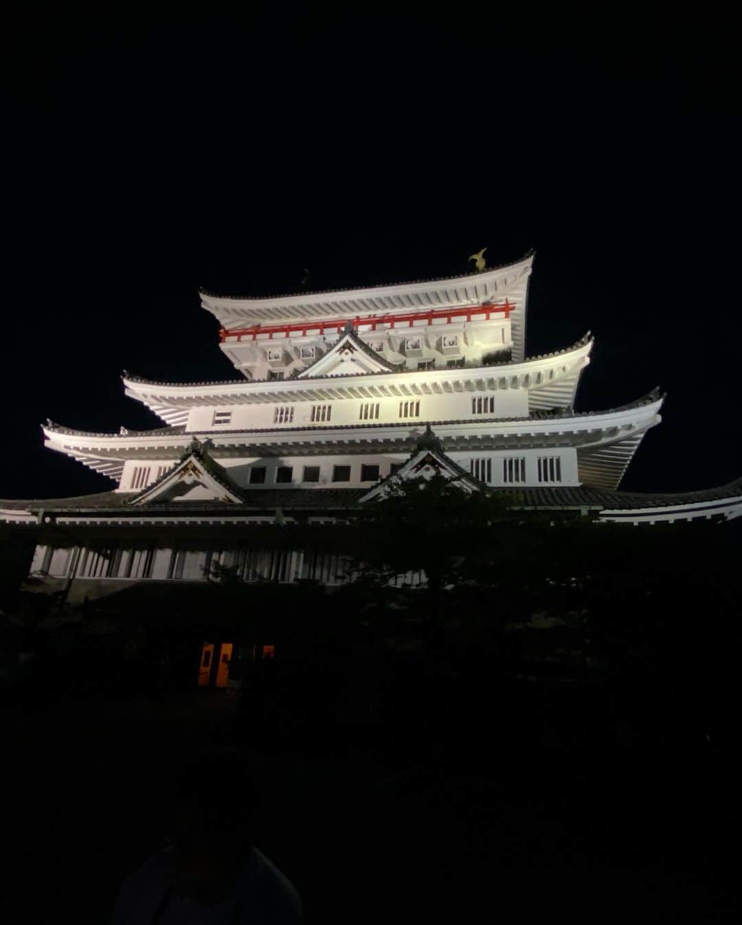 ミニサヤヒメさんのインスタグラム写真 - (ミニサヤヒメInstagram)「家族で旅行した熱海♨️🌊🏯  たまたまその日に ＠ragaredさん主催のpartyが 宿から徒歩3分のところでやっており @heaven_the_atami_utage🔥 @nonstopman1986 に会い🎤  ライブを見て、 @atami_goldrush1109 で たまたまポールで出ていた @poledancer_yukitaso ちゃんと合流し クラブ→海で花火までして 夏先取りしました😂🏖✨  熱海のゆったりゆるい感じがすき😊💗  あなたは聞こえるだろうか…？ 4枚目の動画で、わたし以外の者の声がするのが。。😨  #熱海#熱海城#秘宝館#来宮神社#宝石箱をひっくり返したような夜景#海#花火#reggae#jrexxx#温泉#温泉と水平線の一体感」6月20日 8時21分 - sayahime0405