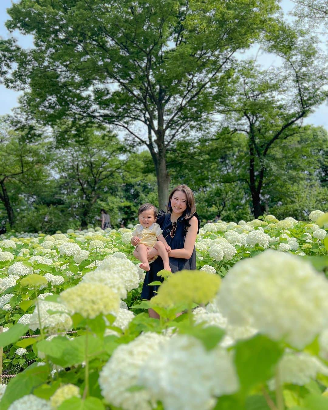 美優のインスタグラム：「府中の郷土の森公園の紫陽花祭り✨  目的は公園内の水遊び場でしたが 紫陽花祭りもやっていたので水遊び後に寄ってみました😆  我が家のお庭にも紫陽花はありますが、 お手入れがされていて、この量の紫陽花は圧巻！👏✨ とても綺麗でした☺️☺️ (我が家も頑張っていますが紫陽花の咲く位置や場所がバラバラ😅)  ロランが撮ってくれた写真は… ほとんど私がボケてました。笑  #ボケてるくらいがちょうどいい #郷土の森公園 #郷土の森あじさいまつり #男の子ママ　#マタニティライフ　#20W」