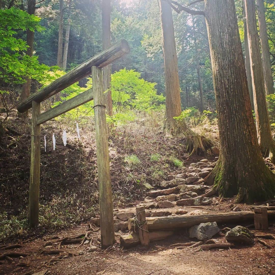 水嶋友香さんのインスタグラム写真 - (水嶋友香Instagram)「6/18(日)晴れ☀️初めての御岳山⛰️ ケーブルカー&リフトで大展望台の産安社でお参りしてから御嶽神社でお参り🙏  ロックガーデンだけでも楽しめるけど、どうせなら大岳山→鋸山→愛宕山→奥多摩駅縦走しちゃえー❗ってんで、崖やら鎖場やら根っこ道等色々楽しめたけど、正直疲れた😵  途中、大岳山手前の山荘跡地のヘリポートらへんでランチしてたら、ヘリコプターがきて色々吹き飛ばされ、食後のコーヒーを自分にぶっかけて片付けてたら、再度ヘリコプターにやられるというアクシデント😣💦  予定より遅いゴールになったけど、もえぎの湯の温泉とビール❗(旨すぎた🥺)最高でした🤭  #御岳山 #大岳山 #鋸山 #愛宕山 #奥多摩駅 #御嶽神社 #ロックガーデン #愛宕神社 #東京都 #登山 #ハイキング #もえぎの湯 #筋肉痛」6月20日 9時41分 - yukachin.0505