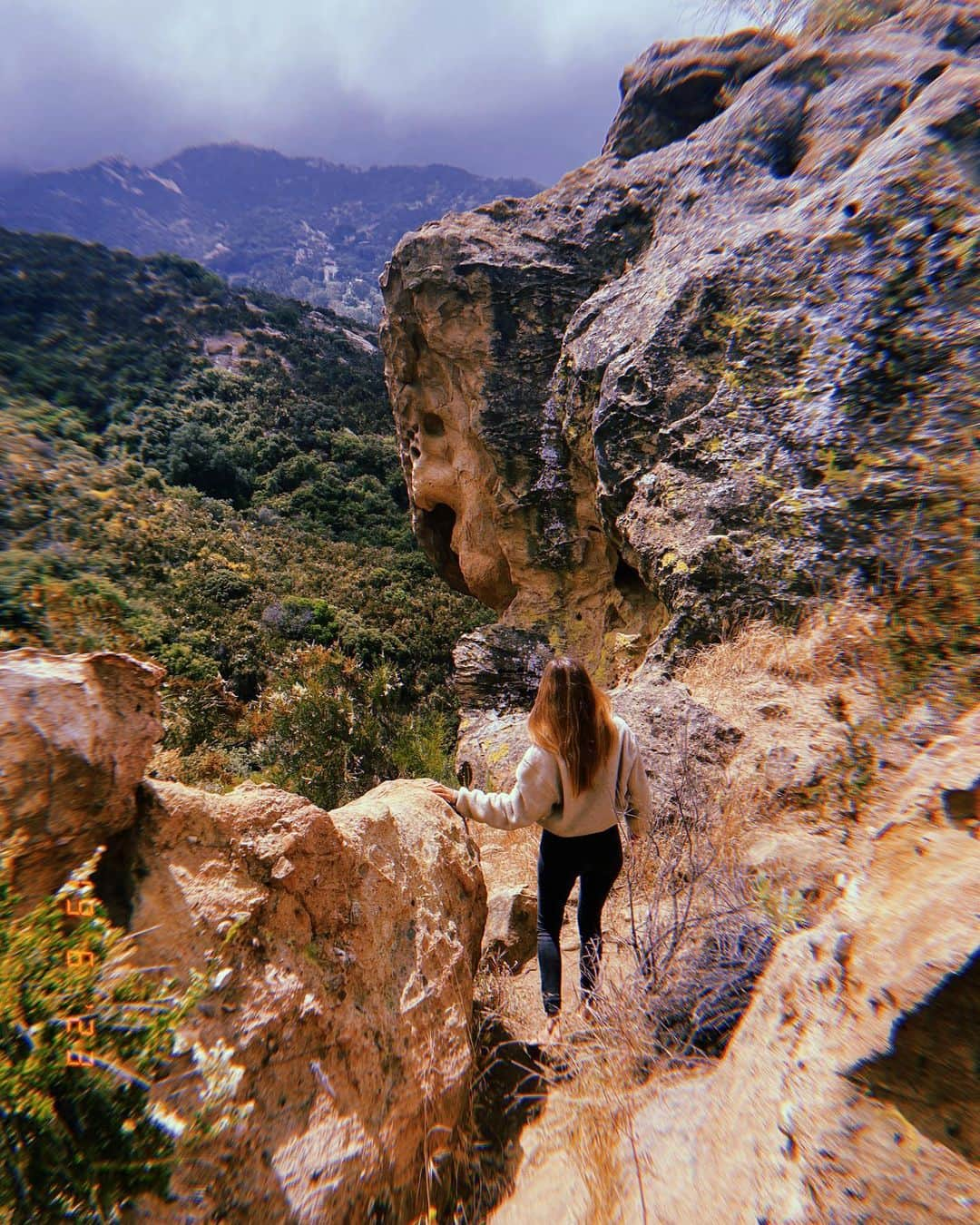 イザベル・ルーカスさんのインスタグラム写真 - (イザベル・ルーカスInstagram)「Feeling and listening to this land.  Do you ever get answers to questions you didn’t even know you had?  Sometimes when you stop and feel, Mother Earth can offer you exactly what you need.  Acknowledging the indigenous Chumash and Tvonga people of this land which I used to call home. Where the mountain meets the sea, ‘the land above’.  ( thank you @districtvision x )  #Chumash #Tvonga #Topanga #wildflowers #myheart #topangacanyon #LA」6月20日 11時03分 - isabellucas