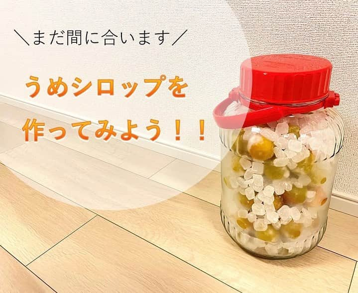 和歌山県食品流通課さんのインスタグラム写真 - (和歌山県食品流通課Instagram)「梅シロップを作ってみよう❣️  皆さん、梅シロップをご存じですか？和歌山県内にお住まいの方でも、梅干しや梅酒には馴染みがあるものの、梅シロップを作ったことがない方も多いのではないでしょうか💭  今日は、梅産地では誰もが知る、簡単で成功まちがいなしの作り方をご紹介します✨️  梅しごと、まだまだ間に合います。ぜひお楽しみください！   【必要なもの】 ・青梅１kg ・氷砂糖１kg（梅と同量） ・ビン（容量３L以上のもの） ・竹串   【作り方】 1⃣青梅のヘタを竹串で取り除きます。 2⃣青梅を洗い、乾燥させます。 3⃣ 24時間以上を目安に冷凍します。 　　＜ポイント＞細胞が壊れ、早くエキスが出ます。 4️⃣ キッチンアルコールで拭くなどして、  　  ビンの内側を殺菌します。 5️⃣ 梅と氷砂糖を交互にビンに入れます。  　  これでいったん作業は完了  　  ここから保管しますが、ビンが結露するので、  　  保管場所にご注意ください。 6️⃣ 一晩たてば、シロップができてくるので、  　  一日に数回ビンを回します。 7⃣約１週間で完成します。梅を除いて、  　 シロップを別容器で保存してください。  　 シロップを鍋でひと煮立ちさせると、長期保存が可能です。   【おすすめの使い方】 まずは、水や炭酸水で割って梅ジュースとしてお楽しみください。牛乳で割ると、梅の酸と牛乳のたんぱく質が反応して、ラッシーや飲むヨーグルトのように、とろっとします。これは産地では知られた、とっておきの飲み方で、朝食やおやつに特におすすめです。その他、プレーンヨーグルトに混ぜても美味しいです。   【ひとこと】 青い梅は「すっきり」、黄色く熟した梅は「フルーティー」に仕上がります。梅や砂糖の種類で組み合わせを変えて、さまざまなシロップを楽しめます。 ちなみに、青梅と氷砂糖を交互に詰めたところに、ホワイトリカーなどのお酒を注ぐと、梅酒が作れますよ♪   青梅は、量販店の他、食の総合ポータルサイト「おいしく食べて和歌山モール」からもご購入いただけます。冷凍梅が販売されていることもあります。 ぜひご確認ください→　https://oishii-wakayama.com/   #梅  #梅仕事  #梅しごと  #梅シロップ  #梅ジュース  #うめラッシー  #おいしく食べて和歌山モール  #なんて素敵な和歌山なんでしょう  #和歌山県 #wakayama  #insta_wakayama  #おいしい健康わかやま  #tasty_healthy_wakayama」6月20日 11時09分 - tasty_healthy_wakayama