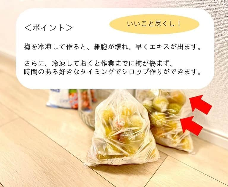 和歌山県食品流通課さんのインスタグラム写真 - (和歌山県食品流通課Instagram)「梅シロップを作ってみよう❣️  皆さん、梅シロップをご存じですか？和歌山県内にお住まいの方でも、梅干しや梅酒には馴染みがあるものの、梅シロップを作ったことがない方も多いのではないでしょうか💭  今日は、梅産地では誰もが知る、簡単で成功まちがいなしの作り方をご紹介します✨️  梅しごと、まだまだ間に合います。ぜひお楽しみください！   【必要なもの】 ・青梅１kg ・氷砂糖１kg（梅と同量） ・ビン（容量３L以上のもの） ・竹串   【作り方】 1⃣青梅のヘタを竹串で取り除きます。 2⃣青梅を洗い、乾燥させます。 3⃣ 24時間以上を目安に冷凍します。 　　＜ポイント＞細胞が壊れ、早くエキスが出ます。 4️⃣ キッチンアルコールで拭くなどして、  　  ビンの内側を殺菌します。 5️⃣ 梅と氷砂糖を交互にビンに入れます。  　  これでいったん作業は完了  　  ここから保管しますが、ビンが結露するので、  　  保管場所にご注意ください。 6️⃣ 一晩たてば、シロップができてくるので、  　  一日に数回ビンを回します。 7⃣約１週間で完成します。梅を除いて、  　 シロップを別容器で保存してください。  　 シロップを鍋でひと煮立ちさせると、長期保存が可能です。   【おすすめの使い方】 まずは、水や炭酸水で割って梅ジュースとしてお楽しみください。牛乳で割ると、梅の酸と牛乳のたんぱく質が反応して、ラッシーや飲むヨーグルトのように、とろっとします。これは産地では知られた、とっておきの飲み方で、朝食やおやつに特におすすめです。その他、プレーンヨーグルトに混ぜても美味しいです。   【ひとこと】 青い梅は「すっきり」、黄色く熟した梅は「フルーティー」に仕上がります。梅や砂糖の種類で組み合わせを変えて、さまざまなシロップを楽しめます。 ちなみに、青梅と氷砂糖を交互に詰めたところに、ホワイトリカーなどのお酒を注ぐと、梅酒が作れますよ♪   青梅は、量販店の他、食の総合ポータルサイト「おいしく食べて和歌山モール」からもご購入いただけます。冷凍梅が販売されていることもあります。 ぜひご確認ください→　https://oishii-wakayama.com/   #梅  #梅仕事  #梅しごと  #梅シロップ  #梅ジュース  #うめラッシー  #おいしく食べて和歌山モール  #なんて素敵な和歌山なんでしょう  #和歌山県 #wakayama  #insta_wakayama  #おいしい健康わかやま  #tasty_healthy_wakayama」6月20日 11時09分 - tasty_healthy_wakayama