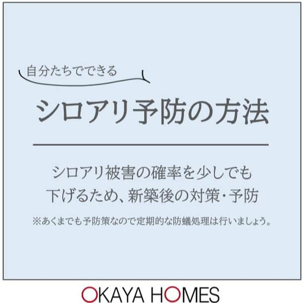 岡谷ホームズ株式会社のインスタグラム：「■愛知・名古屋・岐阜・ 三重県北部にて自然素材の家・ 健康住宅を手掛ける岡谷ホームズです。  『深呼吸したくなる家』づくりをしています。  本日の投稿はシロアリについて。 暖かくなるとシロアリが発生しやすくなることご存知ですか？  シロアリの予防やアリの種類、 処理剤についてご紹介いたします。  岡谷ホームズでは、 シロアリに強く 住む人に優しい家づくりをご提案しています。 是非ご覧ください。  毎月第3土曜日　 『住まいづくり相談会』開催中‼完全予約制。 ご予約はHPより。クオカード1,000円分プレゼント。 お問い合わせはプロフィール欄の ホームページリンクからお問い合わせください。 ＠okayahomes   #自然素材の家 #健康住宅 #注文住宅愛知 #こだわりの家 #八事ハウジング #長期保証 #住まいづくり相談会 #植物が叶える安心の家 #白蟻予防 #白蟻 #シロアリ #岡谷ホームズ」