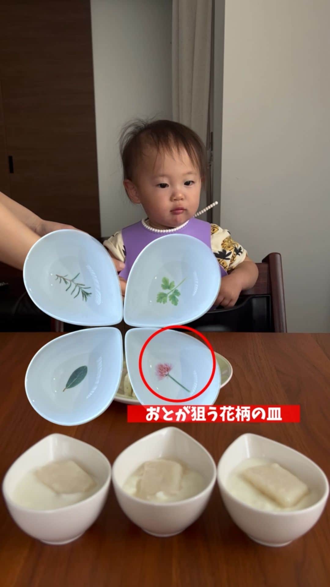 のインスタグラム：「もう何年も続いている 我が家の皿占い . フォロワーさんからメッセージで 「自分で選ぶスタイルにしてみては！？」 とご提案いただいたので試してみたら とても平和でした🕊笑 . . いつも動画を見てくださって そして温かいお言葉ありがとうございます😌♡ . . #3月生まれ#1歳3ヶ月#５歳差育児#双子姉妹#6歳児」