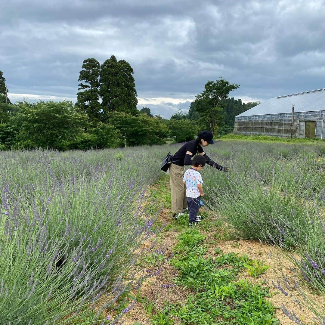 大西蘭さんのインスタグラム写真 - (大西蘭Instagram)「《富山市》 ラベンダー摘みに行ってきました✨  去年も訪れたハーブファーム富夢創野（とむそうや）🌿  もうね、ここだけ北海道の富良野なんじゃないかと錯覚する景色なのよ🥳  今回は三姉妹勢揃い✨姉と妹、姪っ子も誘って一緒に行ってきました♬   子供たちもラベンダーに鼻を近づけ、いい香りーと言っていて、可愛かった😍  天然の香りは人間に癒しを与えてくれるなぁと実感😌  香りは0.2秒で脳に届くから、自分が思っている以上に心や身体に働きかけるのよね。  エッセンシャルオイルを生活に取り入れてから、人工的な香りが苦手になったので、 ラベンダーの自然な香りにホッとしました🌿  入場料はかからないし、カフェも併設しているので 癒されたい方、オススメです🥺  ． ｡.｡･.｡*ﾟ+｡｡.｡･.｡*ﾟ+｡｡.｡･.｡*ﾟ ⁡ 🌿ハーブファーム富夢創野（とむそうや） ⁡ ▽ホームページ https://tomsawyertoyama.com/ ⁡ ▽住所 富山市池多800  ⁡ ▽入園料 無料 ⁡ ⁡ ⁡ ｡.｡･.｡*ﾟ+｡｡.｡･.｡*ﾟ+｡｡.｡･.｡*ﾟ ⁡ ⁡ . いいね、コメント、保存ありがとうございます😌✨ ⁡ 気軽にフォローしてくださいね🌷 @onishiran ⁡ ⁡ ． #ハーブファーム #ハーブファーム富夢創野 #富夢創野 #ハーブファームトムソーヤ #ラベンダー摘み #ラベンダー畑 #富山お出かけ #富山子連れお出かけ #富山お出かけスポット」6月20日 23時40分 - onishiran