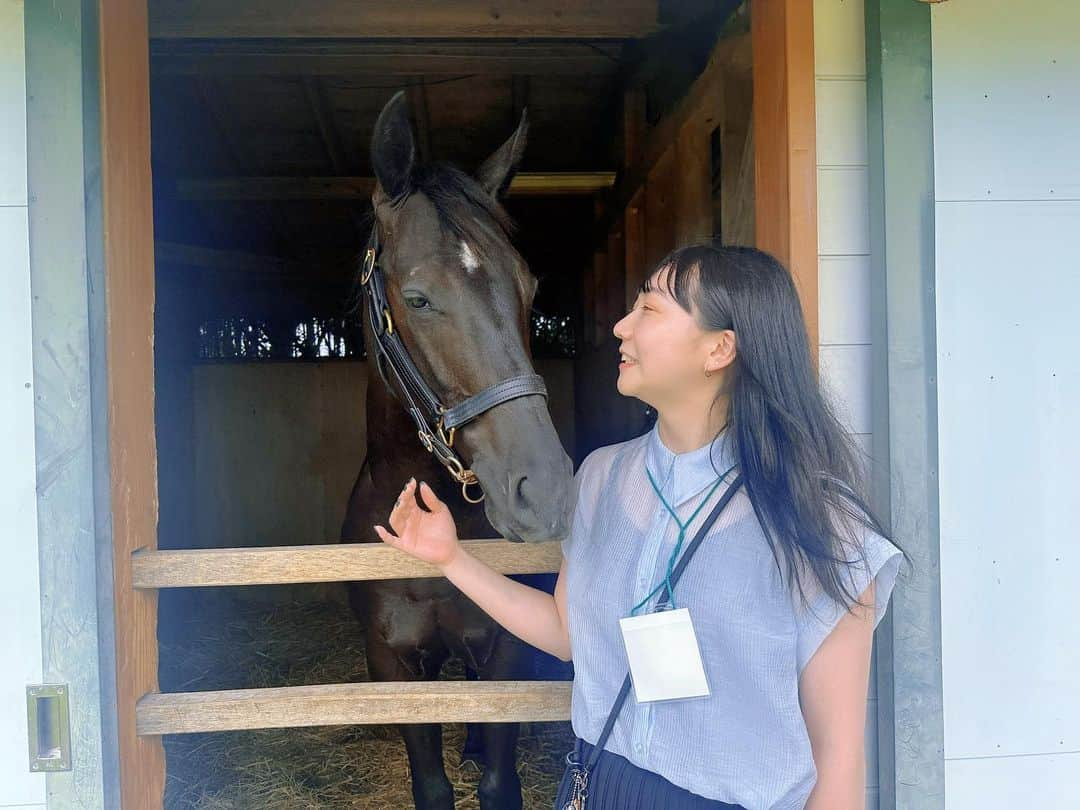 ゆきのしんさんのインスタグラム写真 - (ゆきのしんInstagram)「九州1歳市場に行かせていただきました🐴✨ 九州産馬を支えている関係者の方にも貴重なお話を伺いました🥹 後日動画で上がります🙋‍♀️ #九州1歳市場  #さがけいば  #佐賀競馬  #馬好き」6月20日 23時56分 - yukino__shin