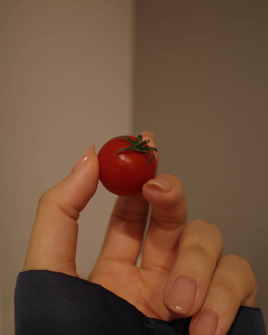 中瀬古ゆきなさんのインスタグラム写真 - (中瀬古ゆきなInstagram)「BH Tomato.  今まで食べたトマトの中で 1番ぎゅっと濃くて甘かった！  拘りの"お取り寄せフード"ブームでして、 こちらもその中のひとつ。  新居になってから口にするものへの意識が 物凄く変わって自分が1番びっくり← 身体の調子が良い実感があります。  このトマトにはGABAが含まれていて、 一時的な精神的ストレスや疲労感を緩和する機能が 報告されているスーパートマト。  朝ごはんに食べたり、おやつにしたり。 トマト大好きっ子なので機能性トマトには感激。 @lycopure_official にはドリンクもあって、 毎朝1本ずつ飲むのが楽しい時間でした。 写真のはラスト1本でつい先程飲みました。  小田切ヒロさんも激しくおすすめされていて ライブ中にずっと召し上がられていたので 可愛かったです。笑  #リコピュア #BHトマト #BHTOMATO」6月21日 0時09分 - yuch1129