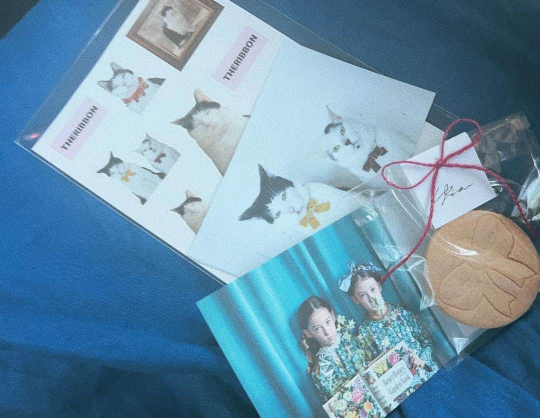 kazumiさんのインスタグラム写真 - (kazumiInstagram)「いつもお世話になっているヘアメイクのKOMAKIさんの素敵な書籍が発売👏✨ . 森岡書店さんで今日から始まった KOMAKI『女の子のヘアアレンジ』出版記展に遊びに行ってきたよ🩷 @moriokashoten   とても可愛い世界感😻 KOMAKIさんのヘアアレンジ大好き🫶 この書籍を撮影された フォトグラファーの山口明さん　@pancho0002 の 愛猫パンチョとガバチョの オリジナルグッズやクッキーも可愛くて、、🐱🩷  KOMAKIさんが在廊されている日は ヘアアレンジもして頂けるそう😻 詳しくは　@komaki10 さんのインスタをみてね🎀  会期：2023年6月20日(火)－6月25日(日) 開廊時間：13:00-19:00 会場：森岡書店　 https://www.instagram.com/moriokashoten/ 東京都中央区銀座1−28−15 鈴木ビル1階 地下鉄：銀座一丁目駅10番出口徒歩5分／新富町駅2番出口徒歩2分／東銀座駅A7出口徒歩7分  KOMAKI @komaki10 https://komakikomaki.com/  「ヘアゴム」だけ！女の子のヘアアレンジ https://www.xknowledge.co.jp/book/9784767831305 出版社：エクスナレッジ  #出版記念#森岡書店#書籍#books #hairarrange #ヘアアレンジ#女の子のヘアアレンジ#可愛い#リボン#ribbon #theribbon  #kazumi」6月21日 0時44分 - kazumi0728