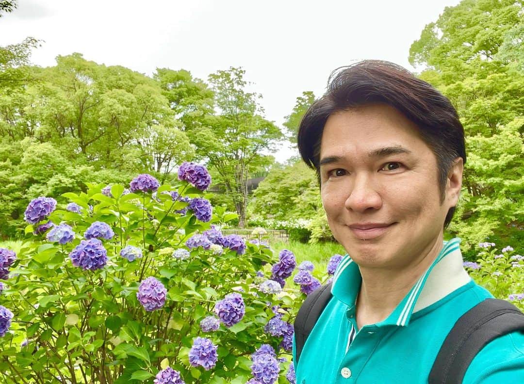 吉崎仁康さんのインスタグラム写真 - (吉崎仁康Instagram)「東京都立川市に用事で行った際、せっかくなので国営昭和記念公園へ！まさかこれほど広い公園とは・・・なんと東京ドーム39個分の広さだそうです。綺麗な紫陽花と、大ケヤキに心癒されました♪  #国営昭和記念公園  #showakinenpark  #立川市 #昭島市 #アナウンサー #吉崎仁康 #大ケヤキ #紫陽花」6月20日 16時07分 - yoshiyasu.yoshizaki