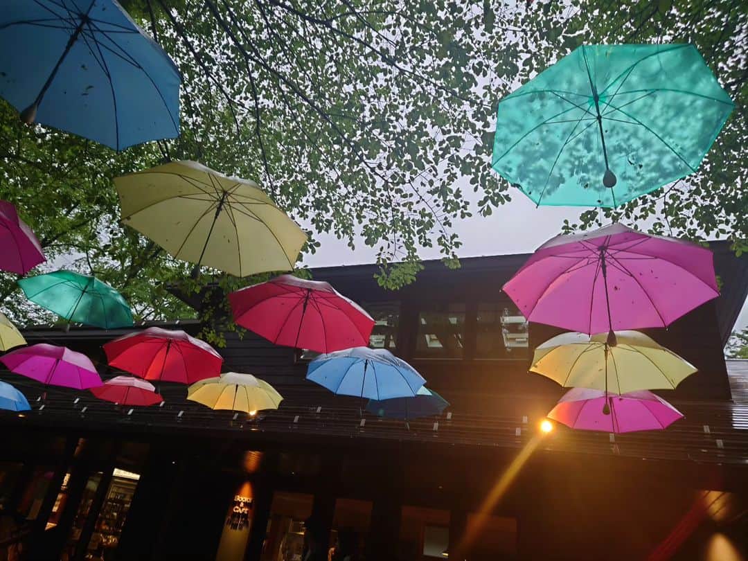 のインスタグラム：「#梅雨」