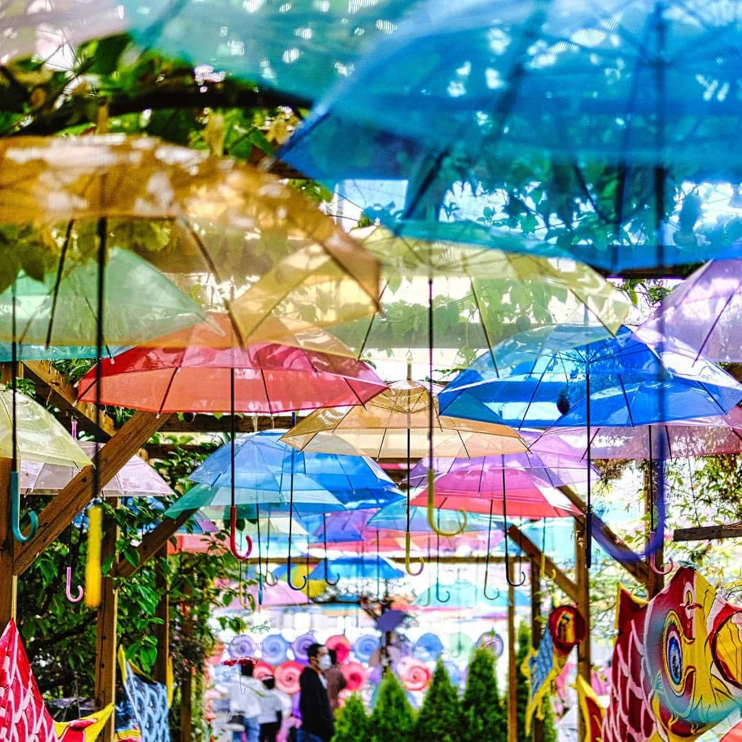 Rediscover Fukushimaのインスタグラム：「Inawashiro Herb Garden’s Umbrella Sky is possibly one of the most photogenic spots in Fukushima! ☂️💕  📸: Leo Okuyama/Unsplash  #fukushima #visitfukushima #photooftheday #photography #nature #instagood #inawashiro #japantravel #japantrip #beautiful #beautifulplaces #unsplash #travelgram #summer #inawashiroherbgarden #umbrellasky #umbrella #colorful #rainyseason #tohoku #tohokutravel #jrpasstohoku #instatravel #wanderlust #amazing #fun #vacation #福島 #猪苗代 #猪苗代ハーブ園」