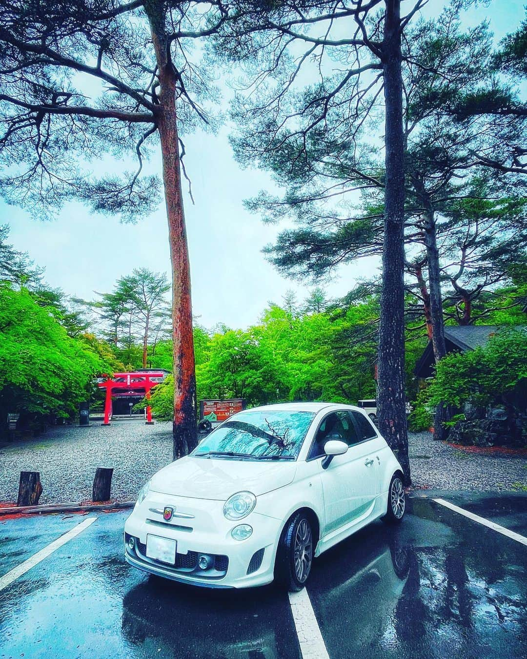 ひぐちしょうこのインスタグラム：「富士山の麓に、 無戸室浅間神社(船津胎内神社)⛩はあります。  この胎内神社の奥に国指定 天然記念物の 「船津胎内樹型」という洞窟があって。 この洞窟に入るのを楽しみにしていたんだけど、 この日は雨で浸水していて入場不可能とのことで。 胎内神社でお参りだけしてきました☺️✨ また日を改めて胎内樹型に入りたいと思います。  今回の山梨旅も、愛車のABARTH595で。 バイク並の加速をみせるアバルトちゃんですが、 低速の安定感が特に好きです。 安全に走ってくれてありがとう。大好きよ😍  #ABARTH  #ABARTH595　#神社   #神社巡り #japan #japan_art_photography  #japantravel #travel #shrine  #山梨  #胎内神社」