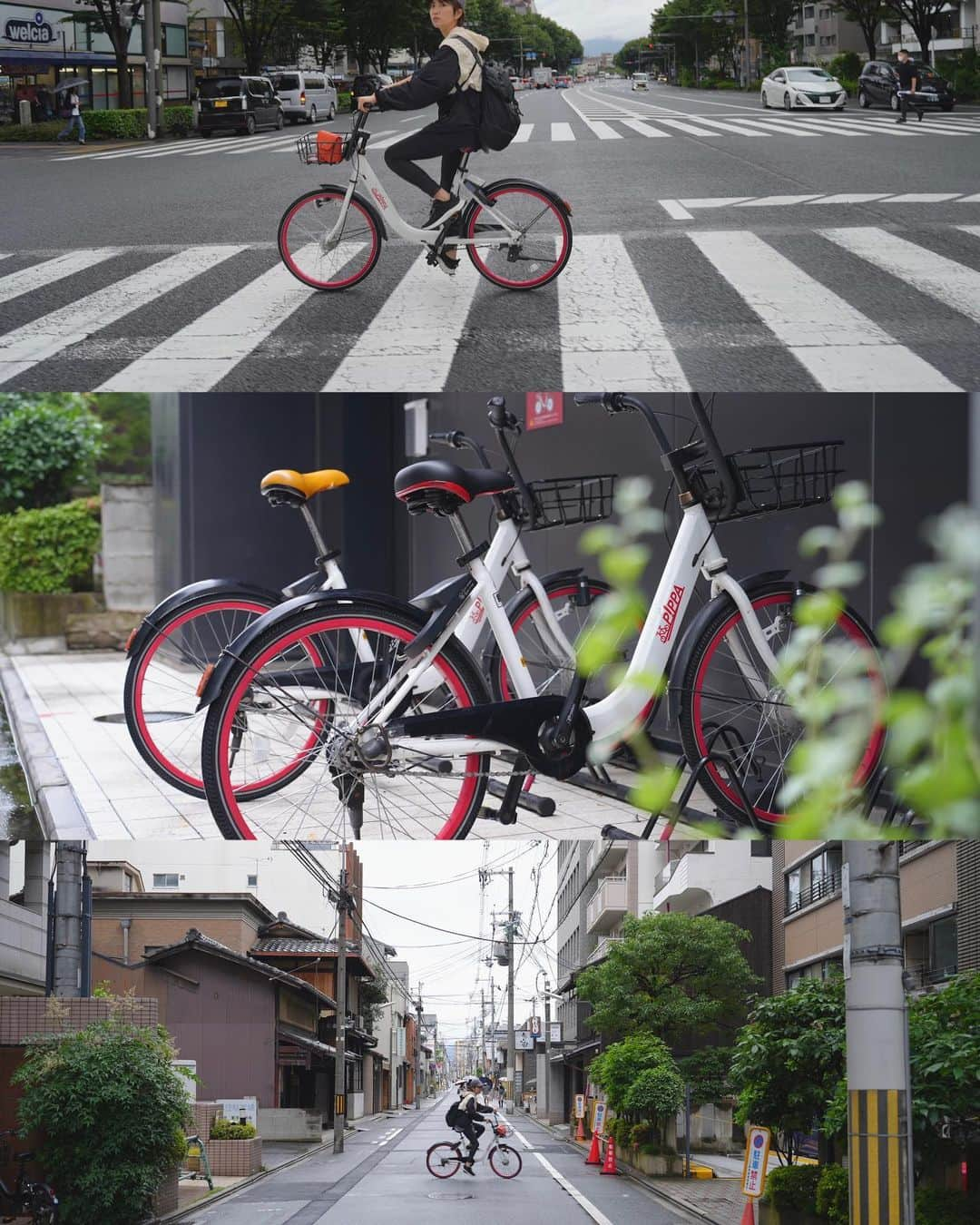 渡辺由布子さんのインスタグラム写真 - (渡辺由布子Instagram)「🚴‍♀️  京都観光は今、シェアバイクが断然便利でオシャレでアツい！  6月の京都出張２軒目は、昨年開業したシンガポール🇸🇬発のホテルブランド「PARK HOTEL KYOTO」に2泊3日。  世界有数の観光都市・京都では、インバウンドが急速に回復し、電車やバスは混雑、京都駅前のタクシーは捕まりにくくなりつつあります。  そんな時にオススメなのがシェアバイクサービス。京都を中心にシェア拡大中の「PIPPA」を、滞在期間中ならホテル前からスマホ一台で簡単にレンタルできます。30分110円で市内約220箇所で自転車乗り放題◎ 一時停止や乗り捨ても可能◎  CO2排出量を削減し、より健康的なライフスタイルを促進しながら、この町の豊かな文化遺産、風光明媚な美しさ、隠れた名店を探索するのに最適！  おひとりさま ★★★ 女子旅 ★★★ アクセス ★★★ コスパ ★★★ アクティビティ ★★★ 長期滞在 ★★★ ヴィーガンフレンドリー★★★ グルテンフリーフレンドリー★★★ 外国人観光客フレンドリー ★★★  ☑︎fitness gym ☑︎laundry ☑︎cafe/bar ☑︎vegan ☑︎gluten free ☑︎shared bike  ☑︎neighborhood (bakery, cafe, shrine etc.)  #シェアバイク #サイクリング #PIPPA #京都ホテル #京都観光 #京都旅行 #ホテル好きな人と繋がりたい #cycling #hotelstay #staycation #socialport #kyototrip #sdgs #DiscoverKyoto #parkhotelkyoto #glutenfreehotel #glutenfree   🚲 @pippa_kyoto   🏷 PARK HOTEL KYOTO 📍 @parkhotelkyoto (#パークホテル京都御池 ) 🗾 #Kyoto （#京都 ）#Oike (#烏丸御池 ) 🌎 #🇯🇵 #Japan （#日本 ）」6月20日 17時30分 - watanabe_yuko