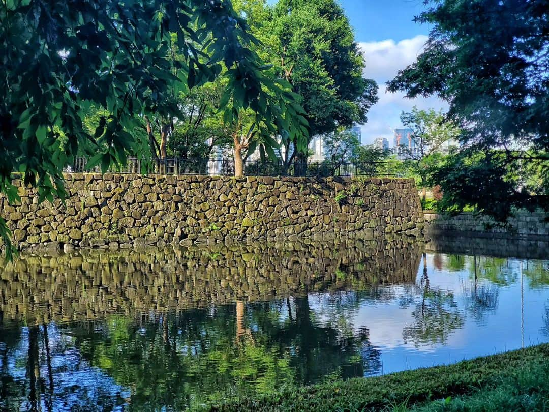 Palace Hotel Tokyo / パレスホテル東京さんのインスタグラム写真 - (Palace Hotel Tokyo / パレスホテル東京Instagram)「梅雨時とは思えないほどの快晴。水面に映る青空も爽やかな気分にさせてくれます。 Hard to believe we're still in the middle of the rainy season with this blue sky!  #パレスホテル東京 #お濠端 #水鏡 #水面鏡 #自然との調和 #和田倉濠 #丸の内 #丸の内散策 #東京の自然 #夏の訪れ #HarmonyWithNature #waterreflection #tokyoview #natureinthecity #tokyohotel #summersky #imperialgardens #wadakuramoat #lhwtraveler #uncommontravel #Marunouchi #moatside #PalaceHotelTokyo」6月20日 17時23分 - palacehoteltokyo