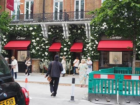 armoire caprice / アーモワール カプリスさんのインスタグラム写真 - (armoire caprice / アーモワール カプリスInstagram)「. EUROPE JOURNAL 　 　 　 バイヤーから届いた現地の様子を、 Instagramでもほんの少しご紹介いたします。  今回は色とりどりの生花が街にあふれる、 5月のロンドンの様子をお届けします！ ぜひ写真と合わせてお読みください💌🌿 　 　 　 +‥‥‥‥‥‥‥‥‥‥‥‥‥‥‥‥‥‥‥‥‥‥‥‥‥‥‥‥‥‥‥‥‥‥+ 　 　 　 毎年5月になると、 世界中のガーデニングファンが憧れる イギリス最大のフラワーショー「チェルシーフラワーショー」の 開催地近辺であるスローンストリートのブティックは、 ショーに合わせたディスプレーを展示し、街中が華やかになります♪ （1～5枚目） 　 そして、アニヤ・ハインドマーチの「ザ・ヴィレッジ」で アニヤが新たな期間限定ショップをオープンしたので、 早速行ってきました！ 　 今回は、チャイナ・ショップ！（陶磁器） （6,7枚目） 　 プレイフルなショップディスプレイによる アーティスティックな空間が、まるで美術館にいるよう。 （8枚目） アニヤオリジナルグッズがポップで可愛い！ （９枚目）  〈期間限定ショップは、既に期間が終了しています。〉　 　　 +‥‥‥‥‥‥‥‥‥‥‥‥‥‥‥‥‥‥‥‥‥‥‥‥‥‥‥‥‥‥‥‥‥‥+ 　 　 　 Instagramには写真を載せきれませんでしたが、 本編ではグリーンにあふれるロンドンの街並みや おしゃれスナップもご紹介しています🎧♪ 　 オンラインストアの「EUROPE JOURNAL」から チェックしてくださいね🌼 　 　 　 #luxearmoirecaprice #リュクスアーモワールカプリス #armoirecaprice #アーモワールカプリス #chersage #シェルサージュ #インポート #セレクトショップ #旅行気分 #ロンドン観光 #ロンドンファッション#イギリス旅行 #チェルシーフラワーショー」6月20日 19時45分 - erina_div_official