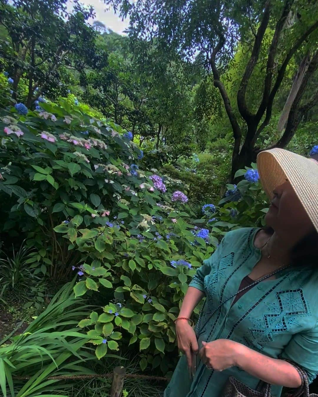 堀舞紀さんのインスタグラム写真 - (堀舞紀Instagram)「💠🌿💠🌿💠  この日は 慧斗にet.を預けてママと2人で 紫陽花みたり、 お茶🫖したり🤭  猛暑🥵 過ぎて汗だくんなったのと 日本中の人が 鎌倉で紫陽花見たがってたんだ… って事に生まれて初めて気付いた 梅雨の晴れ間でした🙄  紫陽花って あんな人気者なのね。 TDLより混んでた🤣  リサーチ不足だったので 来年はもっとマニアックな 紫陽花の追っかけを したいと思います🫡💠🌿  でも 明月院、キレイだった😩 空いてる時🍵←しに行きたい🙄  花の鑑賞じたい慧斗には全く響かない謎行動らしくて 『今日どこ行くの？』 って真顔で3回聞かれたんだ…  😀え。  海🌊の事以外🧠の動きは停止させてるみたいでエコな人ですね。。  しかし、 紫陽花ツアーだなんて 私も大人の仲間入りだわ〜  可愛かったなぁ〜 アジサイ🥹  トトロ出そうだった🫶🏾  #鎌倉 #紫陽花スポット #明月院 👆🏾 入り口付近にベビーカー置き場がちゃんとあって 感動した🥹けど、、、 連れてきてたらずっと抱っこ、、 無理無理無理無理🤯ww 預けてきて正解🙆🏽‍♀️」6月20日 17時49分 - mainohori