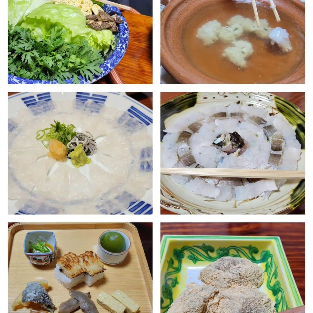 音無美紀子さんのインスタグラム写真 - (音無美紀子Instagram)「12日間の巡業を終えて、再び京都へ。 久々に主人と京都で仕事です。 その前に、鱧料理で人気の料亭「堺萬」で、鱧づくし懐石で舌鼓を打ちました。 鱧の薄作りも初めて頂いたし、鱧のしゃぶしゃぶも大変美味しかった。出汁に入れるやいなや丁寧に骨切りした鱧がパアッと花が咲く感じ！ポン酢もいいけど、塩とゆず胡椒で頂くのも美味👍 大満足でした。 #京都 #堺萬 #鱧料理 #村井國夫」6月20日 17時52分 - mikikootonashi
