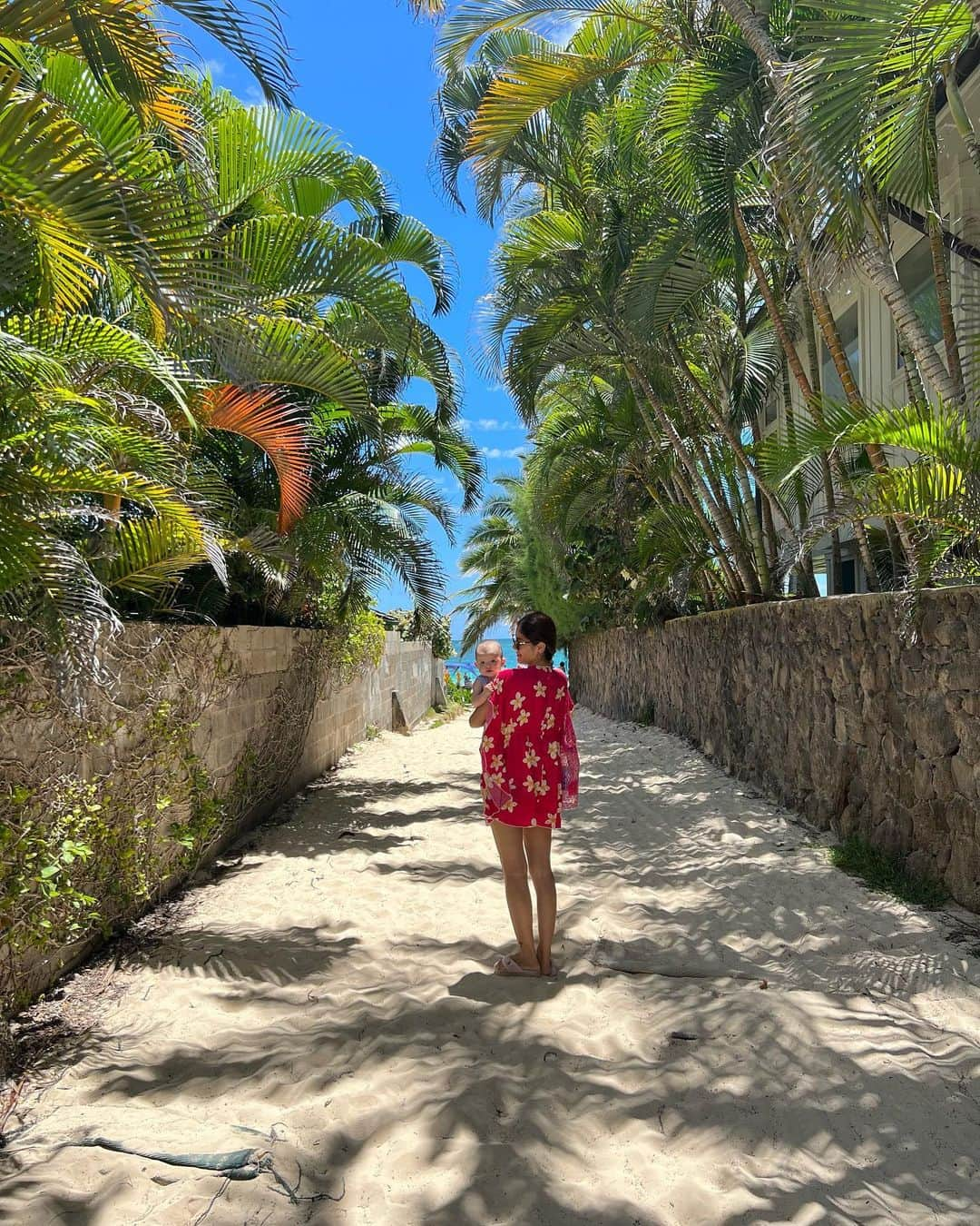 宮崎沙矢加さんのインスタグラム写真 - (宮崎沙矢加Instagram)「Am I the only one who likes this narrow road leading to Lanikai Beach?🌺🌴 . . . この４連休も毎日色んなところに行って楽しかった🤙🏽💕💕残り少ないハワイ生活を満喫ちゅ💗 #lanikaibeach #lanikai #ラニカイビーチ#天国の海」6月20日 18時13分 - sarah___audrey