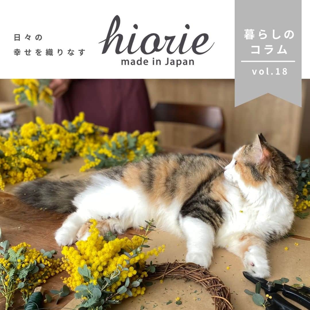 タオル直販店 ヒオリエ／日織恵さんのインスタグラム写真 - (タオル直販店 ヒオリエ／日織恵Instagram)「・ 本日は、ライフオーガナイザーのyoshikoさんが綴る 暮らしのコラムをご紹介します☕♪  ‥‥・*・‥‥………‥‥・*・‥‥………‥‥・*  人が好きすぎて困る‥。 去年末に我が家に来てくれた愛猫「きなこ」。 あなたは本当は犬なんじゃないの？！と思うほど 人によってくるかまってちゃん。 名前を呼んだら絶対そばに寄ってくるし、 撫でてやると喉を鳴らしてすりすりゴロゴロしてくれるから 可愛くて毎日どんなに癒されることか。 しかも初めましてのお客さんにもガンガンいくから面白い。  お客さんとダイニングで話してたら、 机のど真ん中にごろーん！ 「見て～触って～私かわいいでしょ～♪」 といわんばかりの猛アピール。 距離が近すぎて逆に困る！ そんな猫ってなかなかいませんよね。 もうこれは猫カフェでもオープンしちゃおうかなっ！  - - - - - - - - - - - - - - -to be continued  日々のしあわせを織りなす「ヒオリエ」は 皆さまの生活に寄り添い、 日々の何気ない瞬間に幸せを＋する。 そんな提案をしていきます。  Please follow▶ @hiorietowel  ＼いいね&コメントありがとうございます！／  #ヒオリエ をタグ付けして、 皆様の #ヒオリエのある暮らし を 是非紹介してください♪  #ヒオリエタオル #タオル #ライフスタイル #ライフオーガナイザー#暮らし #暮らしを楽しむ #ビッグフェイスタオル #シンプルライフ #シンプルな暮らし #シンプルデザイン #ナチュラルな暮らし #家族 #ペットスタグラム #猫のいる暮らし #猫大好き #猫に癒される #猫と暮らす家 #保護猫 #保護猫を家族に」6月20日 19時00分 - hiorietowel