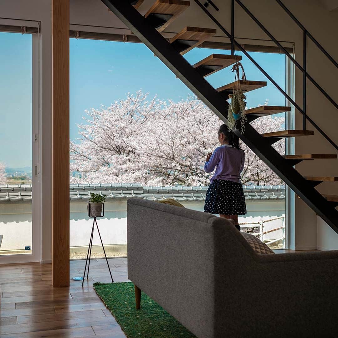 コラボハウス一級建築士事務所さんのインスタグラム写真 - (コラボハウス一級建築士事務所Instagram)「高台＋桜＋和モダン ダイニングだけでなく、リビング、鉄骨階段からも 桜景色が見えるようプランニング。 ---------------------------------------------------- コラボハウスは 設計士と直接話して家づくりをする設計士事務所です。 「住みやすく使いやすい、ちょっとカッコいい家」を コンセプトに家づくりのお手伝いをしています。 土地探し、間取りづくり、デザイン、家具選び 資金計画、工事、メンテナンスまで設計士に全部お任せ。 DMやHPからお気軽にお問い合わせください。 ------------------------------------------------------ #外観デザイン #ファサード #ガルバリウム外壁 #借景 #和室 #桜 #対面キッチン #鉄骨階段 #庭のある暮らし #無垢床 #寺院 #快適な暮らし #玄関インテリア #ダイニングテーブル #造作洗面台 #子どもと暮らす #自分らしい暮らし #デザイナーズ住宅 #注文住宅新築 #設計士と直接話せる #設計士とつくる家 #コラボハウス #インテリア #愛媛 #香川 #岡山 #大阪 #徳島 #秋田 #マイホーム」6月20日 19時00分 - collabo_house