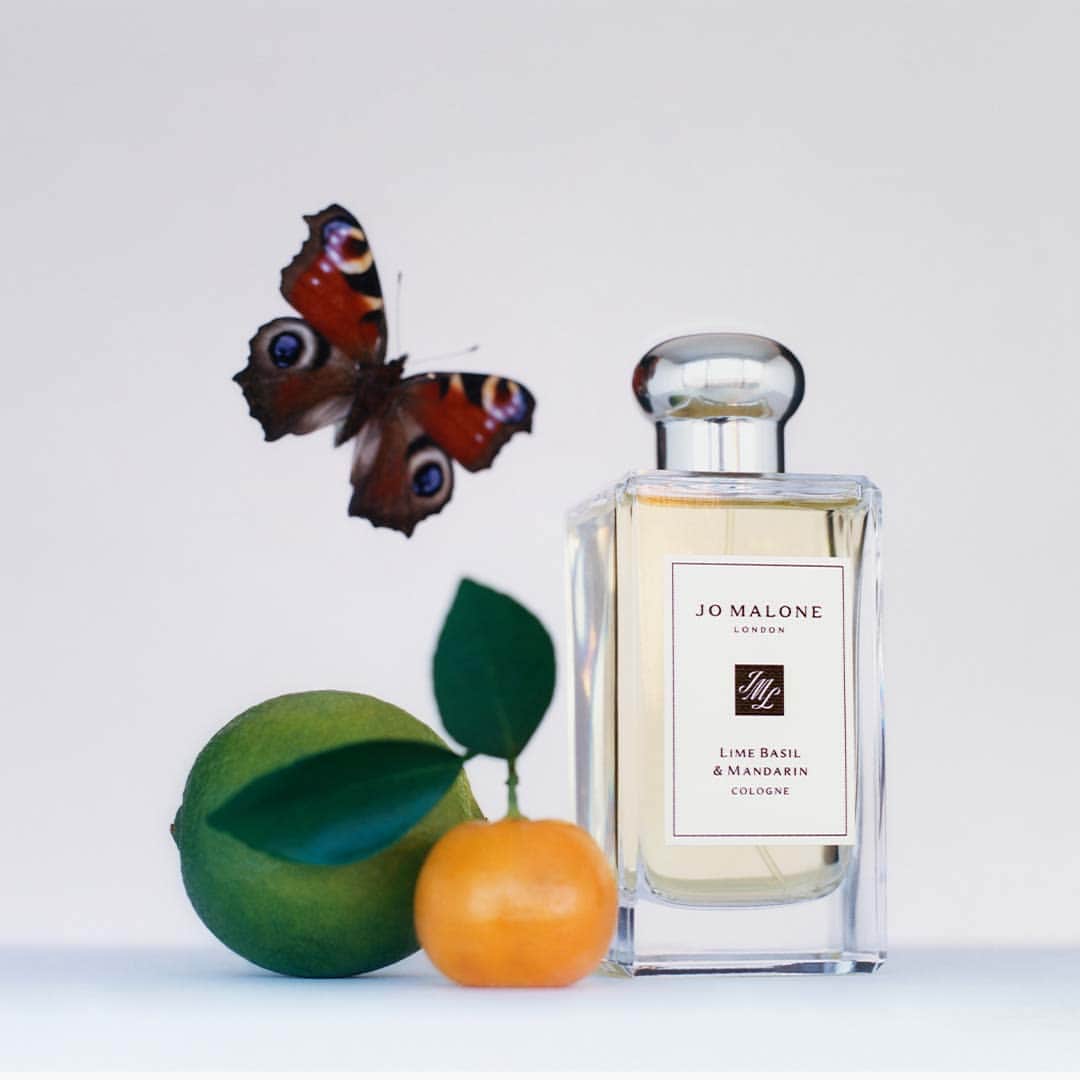 Jo Malone Londonさんのインスタグラム写真 - (Jo Malone LondonInstagram)「Our modern citrus classic. Peppery basil and aromatic white thyme bring an unexpected twist to the scent of limes in Lime Basil & Mandarin. #DeclareYourScent」6月20日 19時15分 - jomalonelondon