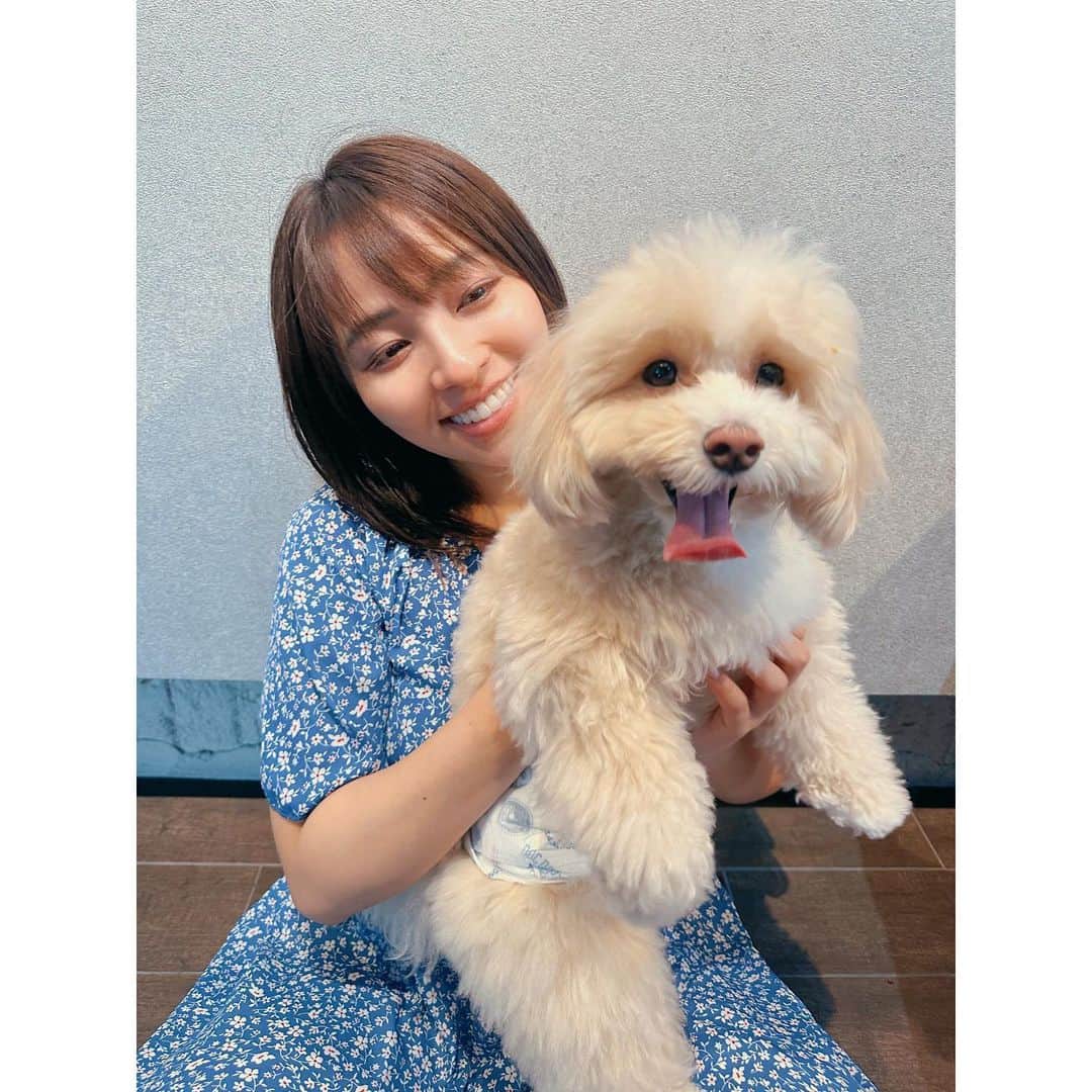 水崎綾女のインスタグラム：「エイルたん♡ 人懐っこくて可愛すぎた。  4枚目のMaloneの足ピンも可愛すぎる。笑  #instagram #いぬ #いぬすたぐらむ  #🐕 #犬 #dog #dogstagram_japan  #doglover #dogstagram🐕」