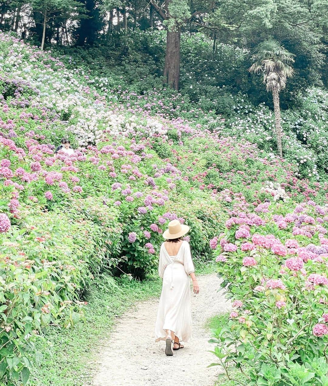 藤崎奈々子のインスタグラム