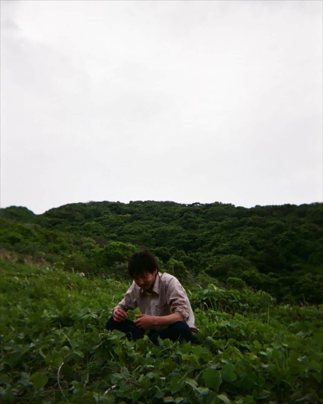 宮崎秋人さんのインスタグラム写真 - (宮崎秋人Instagram)「撮影の合間。  現代人は携帯をいじりますが、 未来はそんなモンないので、葉をいじります。  今週金曜日、 ペンディングトレイン遂に最終話。  現代に戻ったチーム5号車の行末を見届けてください。  #ペンディングトレイン #明石」6月20日 19時47分 - shuto_miyazaki
