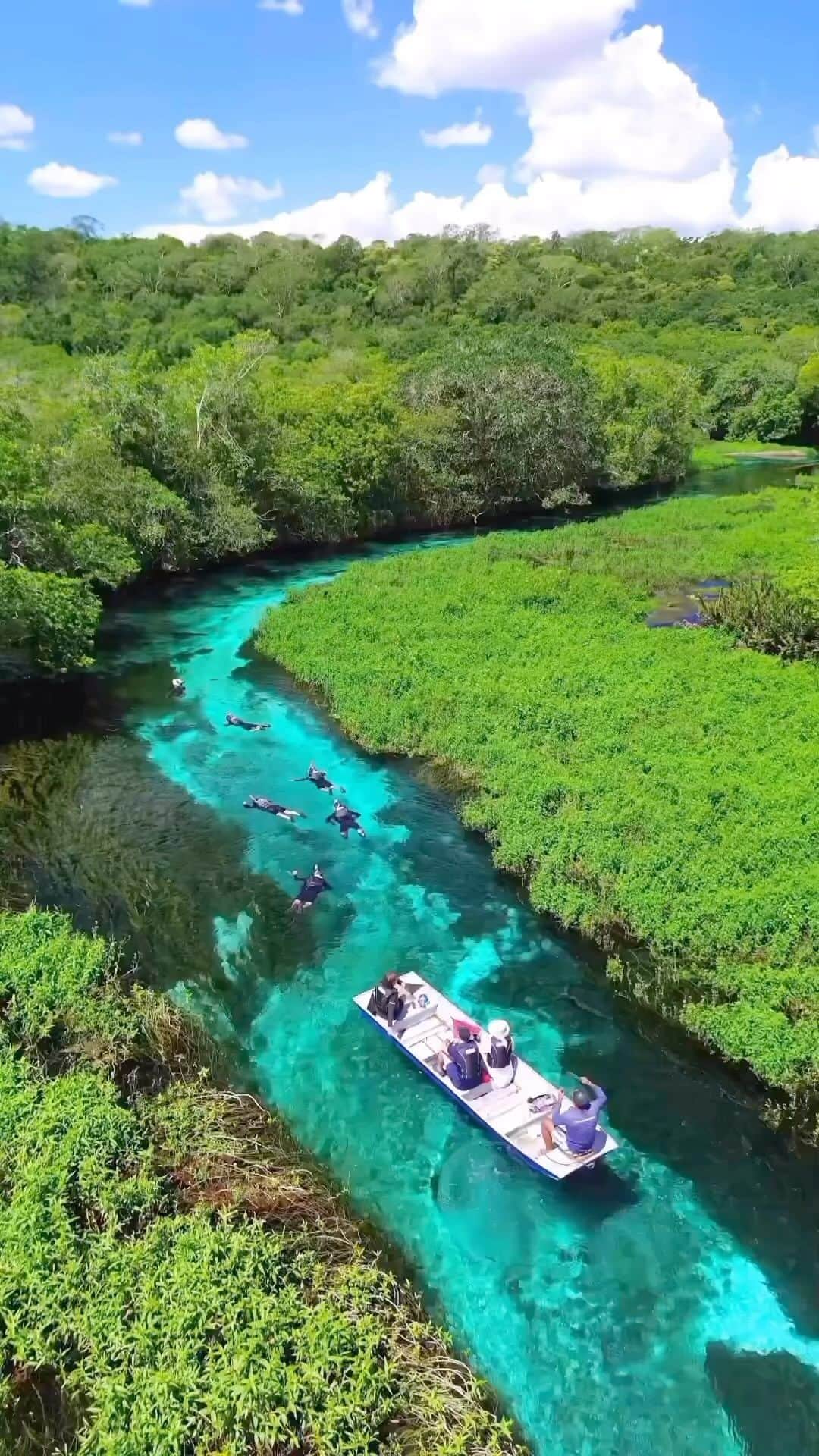 Awesome Wonderful Natureのインスタグラム：「@eduardoalvesz showcasing the most crystalline river in Brazil 😍😍 Would you visit here? Tag who you’d go with!!! 🙌🏼🙌🏼 . 🎥 ✨@eduardoalvesz✨ 📍Mato Grosso do Sul - Brazil 🇧🇷」