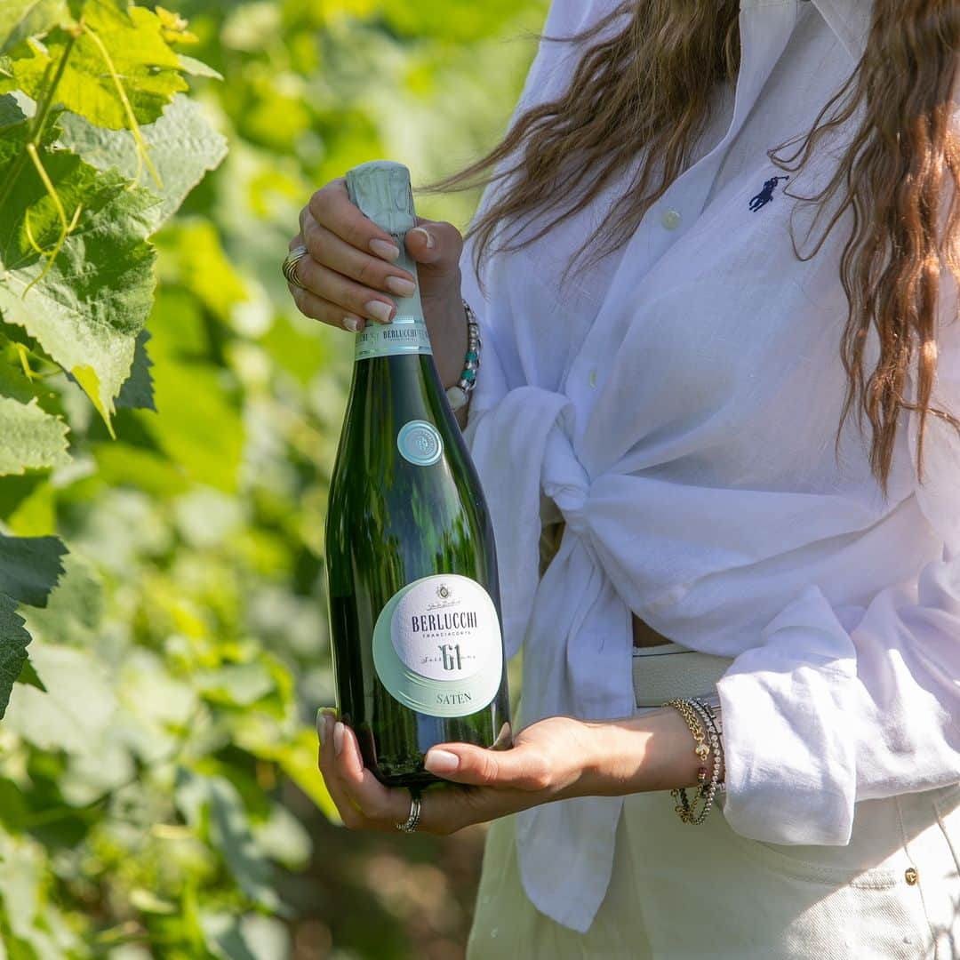 berlucchiwinejpのインスタグラム：「ブドウ畑からグラスへ。� #franciacorta #italianstyle」