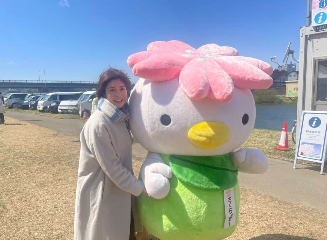 岩間瞳のインスタグラム：「＼大河原町のさくらっきー🌸／  いわゆる＂ゆるキャラ＂がだいすきな わたしのキャラ記録📷  我がふるさと大河原町のキャラクターは「さくらっきー」🌸  頭は町の花の「桜」、顔は町の鳥の「白鳥」 体は町の木の「梅」でできています✨  この無表情（？）と丸いフォルムが なんともいえぬ愛らしさ❤️‍🔥❤️‍🔥 私のデスクのカレンダーもさくらっきーです🌸  ぜひ！大河原町にいらした際には！ さくらっきーを！探してみてください！！！（圧）  #宮城 #大河原町 #一目千本桜 #さくらっきー #ご当地キャラ #ゆるキャラ好きな人と繋がりたい」