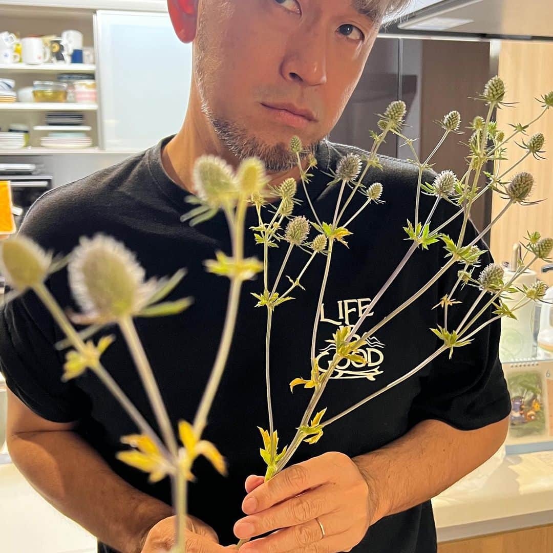 kougeishaのインスタグラム：「今朝臭いって言ってた真犯人です。なんでこんな匂いするの👃」