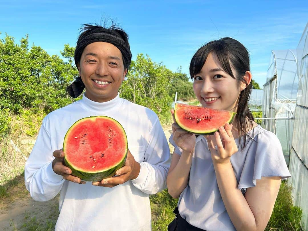 松本亜美さんのインスタグラム写真 - (松本亜美Instagram)「今日も新潟一番をご覧いただきありがとうございました😊 生中継では出荷が始まった小玉スイカをご紹介しました🍉 小玉とは思えないほど立派なスイカが育っていました！  今回ご紹介したのは「姫甘泉(ひめかんせん)」というスイカ🍉 シャリっとした食感でみずみずしく、甘味が強いのが特徴です😋 大きくカットしていただき贅沢にいただきました🌟  スイカのシーズンが始まり、本格的な夏が近づいているなと思いました☀️  #teny #テレビ新潟  #夕方ワイド新潟一番  #生中継  #新潟市西区 #太田農園 #スイカ #小玉スイカ #姫甘泉  #甘さが強い！！#シャリ感 あり#みずみずしい  #フルーツ好き  #あみの中継記録  #アナウンサー  #松本亜美」6月20日 20時42分 - ami_matsumoto_teny