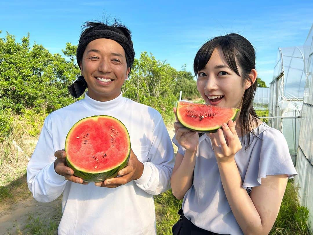 松本亜美さんのインスタグラム写真 - (松本亜美Instagram)「今日も新潟一番をご覧いただきありがとうございました😊 生中継では出荷が始まった小玉スイカをご紹介しました🍉 小玉とは思えないほど立派なスイカが育っていました！  今回ご紹介したのは「姫甘泉(ひめかんせん)」というスイカ🍉 シャリっとした食感でみずみずしく、甘味が強いのが特徴です😋 大きくカットしていただき贅沢にいただきました🌟  スイカのシーズンが始まり、本格的な夏が近づいているなと思いました☀️  #teny #テレビ新潟  #夕方ワイド新潟一番  #生中継  #新潟市西区 #太田農園 #スイカ #小玉スイカ #姫甘泉  #甘さが強い！！#シャリ感 あり#みずみずしい  #フルーツ好き  #あみの中継記録  #アナウンサー  #松本亜美」6月20日 20時42分 - ami_matsumoto_teny