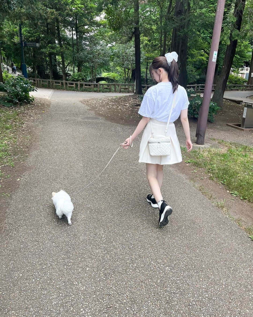 薮田こももさんのインスタグラム写真 - (薮田こももInstagram)「お散歩日和だった♡🐩🐾  ドッグカフェ行ったりいっぱい歩いたりできて楽しかった❤︎ 自然が多いとこいいねっ  最後の写真のドッグカフェにいたわんちゃん懐いてきてくれて可愛かったーーー(՞߹ - ߹՞)  #ドッグカフェ #井の頭公園 #吉祥寺 #犬 #犬のいる暮らし #犬スタグラム #チワワ #チワワ部 #チワワ大好き #チワワのいる暮らし #白チワワ #白チワワの男の子」6月20日 20時44分 - yuri_selfish