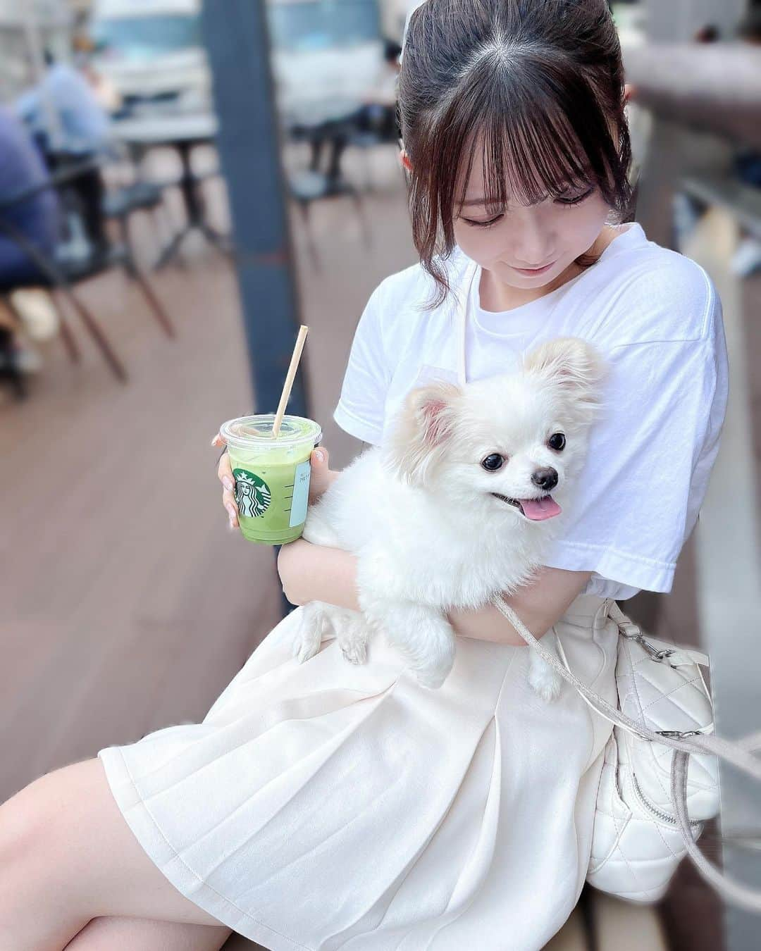 薮田こももさんのインスタグラム写真 - (薮田こももInstagram)「お散歩日和だった♡🐩🐾  ドッグカフェ行ったりいっぱい歩いたりできて楽しかった❤︎ 自然が多いとこいいねっ  最後の写真のドッグカフェにいたわんちゃん懐いてきてくれて可愛かったーーー(՞߹ - ߹՞)  #ドッグカフェ #井の頭公園 #吉祥寺 #犬 #犬のいる暮らし #犬スタグラム #チワワ #チワワ部 #チワワ大好き #チワワのいる暮らし #白チワワ #白チワワの男の子」6月20日 20時44分 - yuri_selfish