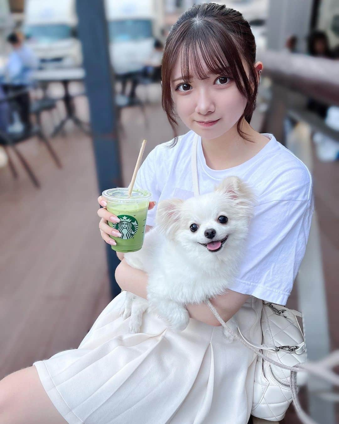 薮田こもものインスタグラム：「お散歩日和だった♡🐩🐾  ドッグカフェ行ったりいっぱい歩いたりできて楽しかった❤︎ 自然が多いとこいいねっ  最後の写真のドッグカフェにいたわんちゃん懐いてきてくれて可愛かったーーー(՞߹ - ߹՞)  #ドッグカフェ #井の頭公園 #吉祥寺 #犬 #犬のいる暮らし #犬スタグラム #チワワ #チワワ部 #チワワ大好き #チワワのいる暮らし #白チワワ #白チワワの男の子」