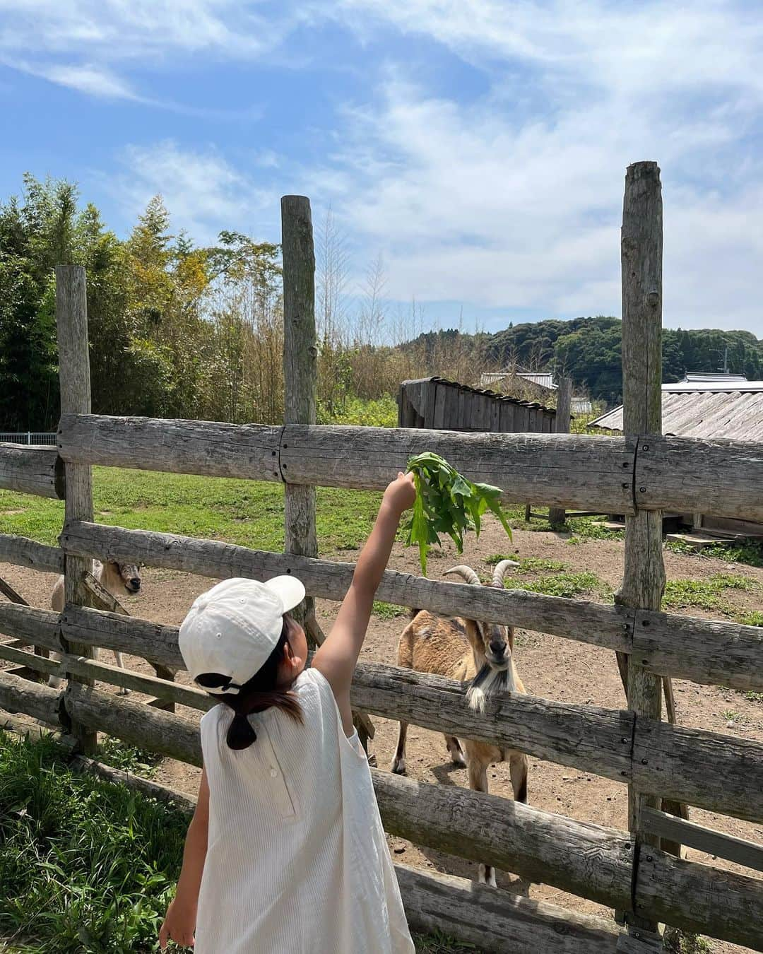 yan___5さんのインスタグラム写真 - (yan___5Instagram)「.  この前の休日🐐🍓🍦 もう次女を抱っこするのもしんどくなってきた🥺寂し #休日コーデ  オールインワン　#todayful」6月20日 20時50分 - yan___5