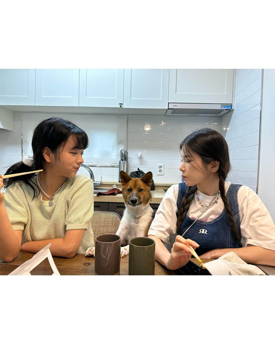 パク・チョロンさんのインスタグラム写真 - (パク・チョロンInstagram)「냅다 앉아버리기. 내가 마음에 들었니 후추야, 소금아  @__yoonsugar__」6月20日 21時00分 - mulgokizary