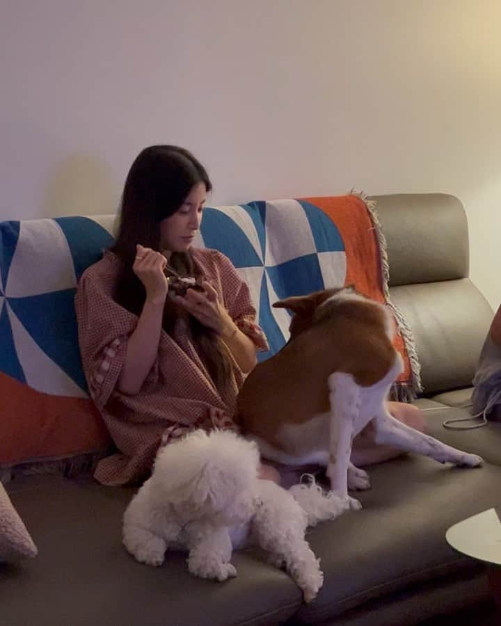 パク・チョロンのインスタグラム：「냅다 앉아버리기. 내가 마음에 들었니 후추야, 소금아  @__yoonsugar__」