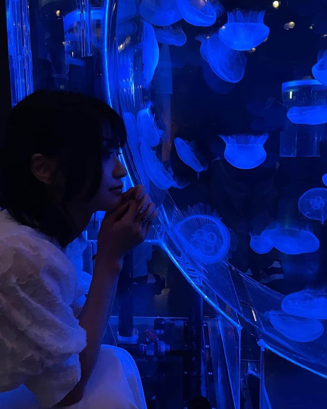 板倉可奈さんのインスタグラム写真 - (板倉可奈Instagram)「久々の水族館🪼  癒されてきました~🫠  #kanacolor」6月20日 21時09分 - kn.sii.i