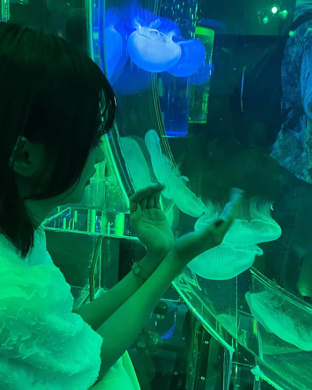 板倉可奈さんのインスタグラム写真 - (板倉可奈Instagram)「久々の水族館🪼  癒されてきました~🫠  #kanacolor」6月20日 21時09分 - kn.sii.i