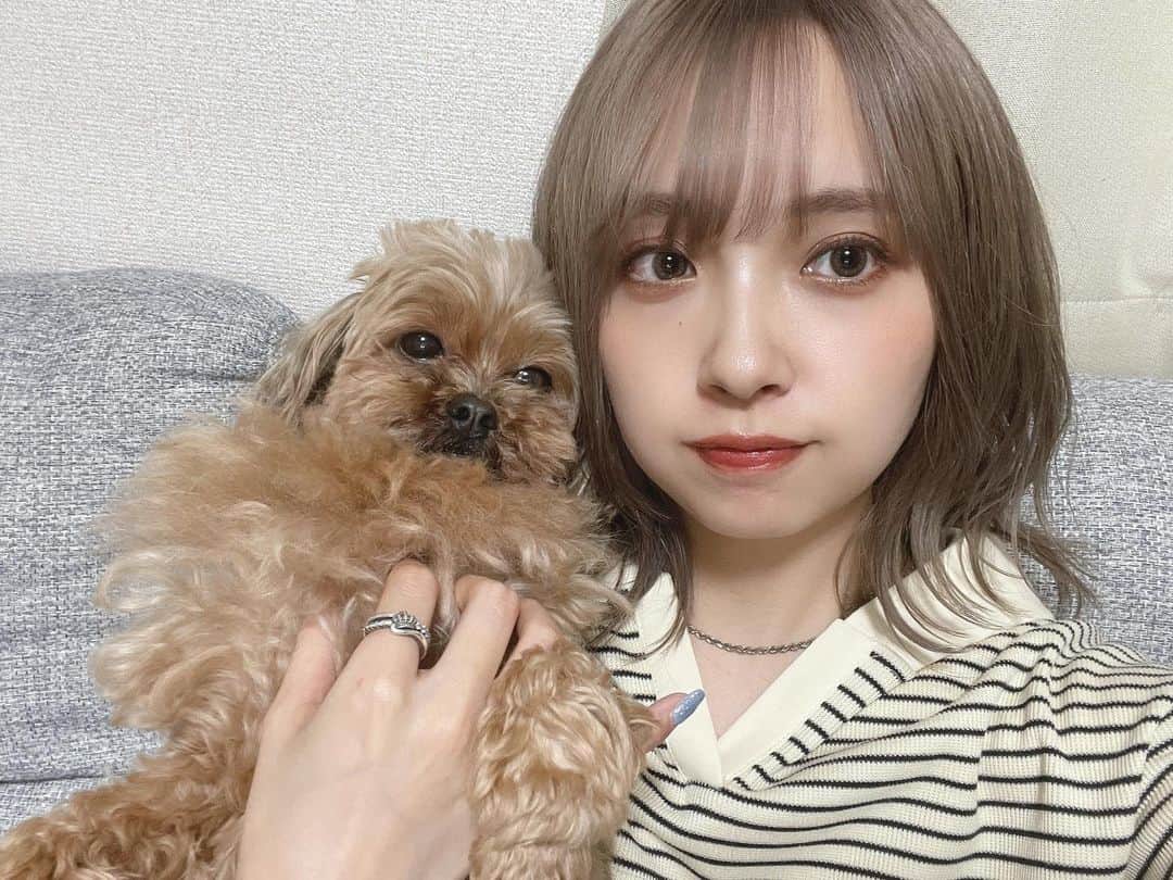 加藤愛永のインスタグラム：「お久しぶりです🍧 . 大変過ぎ去りましたが 6月は誕生日がありました🍰 おめでとうございました(セルフ) . . もう6月下旬なんて嘘すぎる早すぎる 下半期の目標はSNSの敷居を低くするです #birthday #時差 #生存確認投稿  #近くにいたみろを添えて」