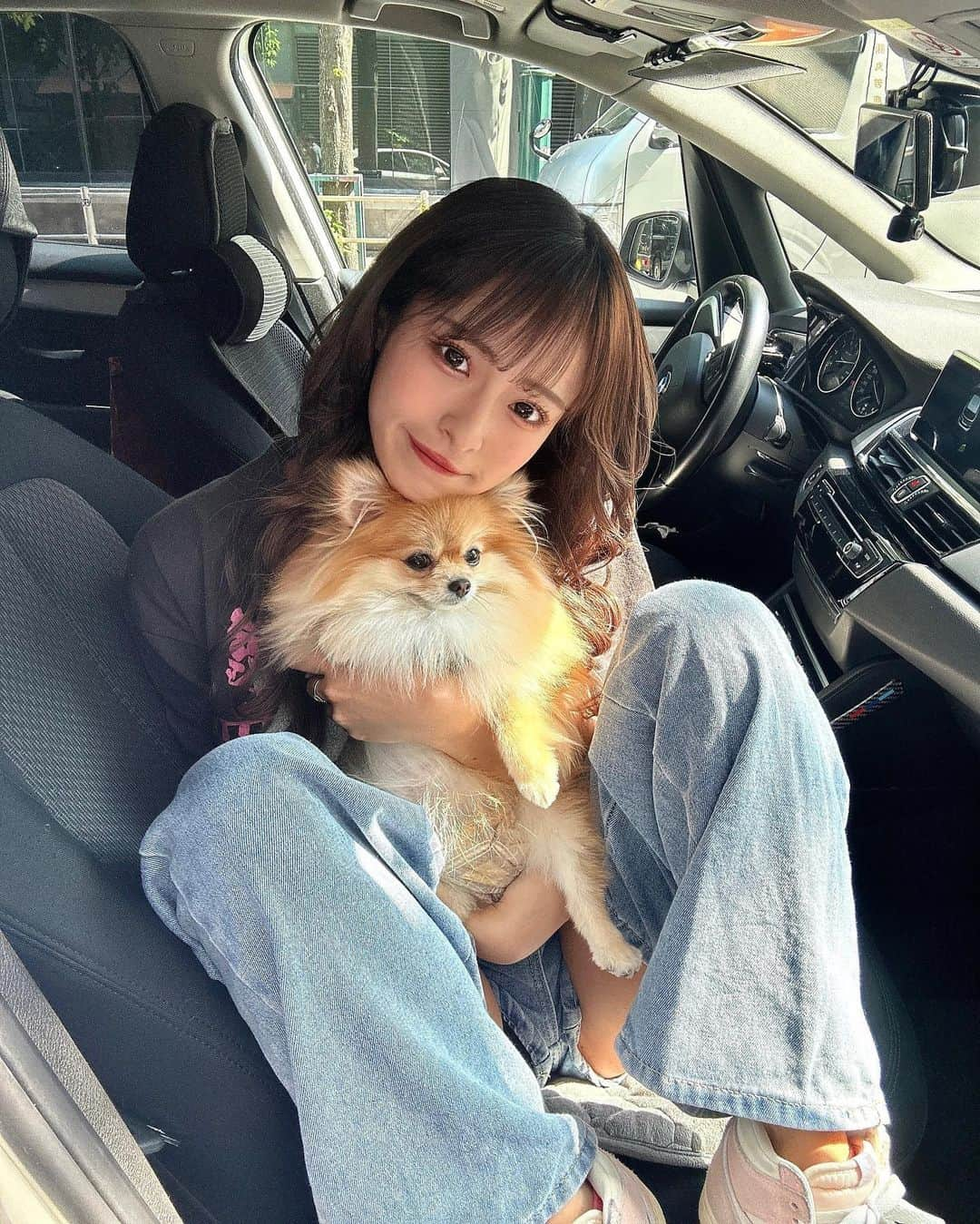 清水里香のインスタグラム：「⁡ ⁡ 犬会した🐩🐕🐕‍🦺🦮 ⁡ わんちゃんみんな可愛いけど やっぱり愛犬が1番やね🐶 ⁡ ⁡ ⁡ ⁡ ⁡ #ポメラニアン #くうちゃん #🐶」