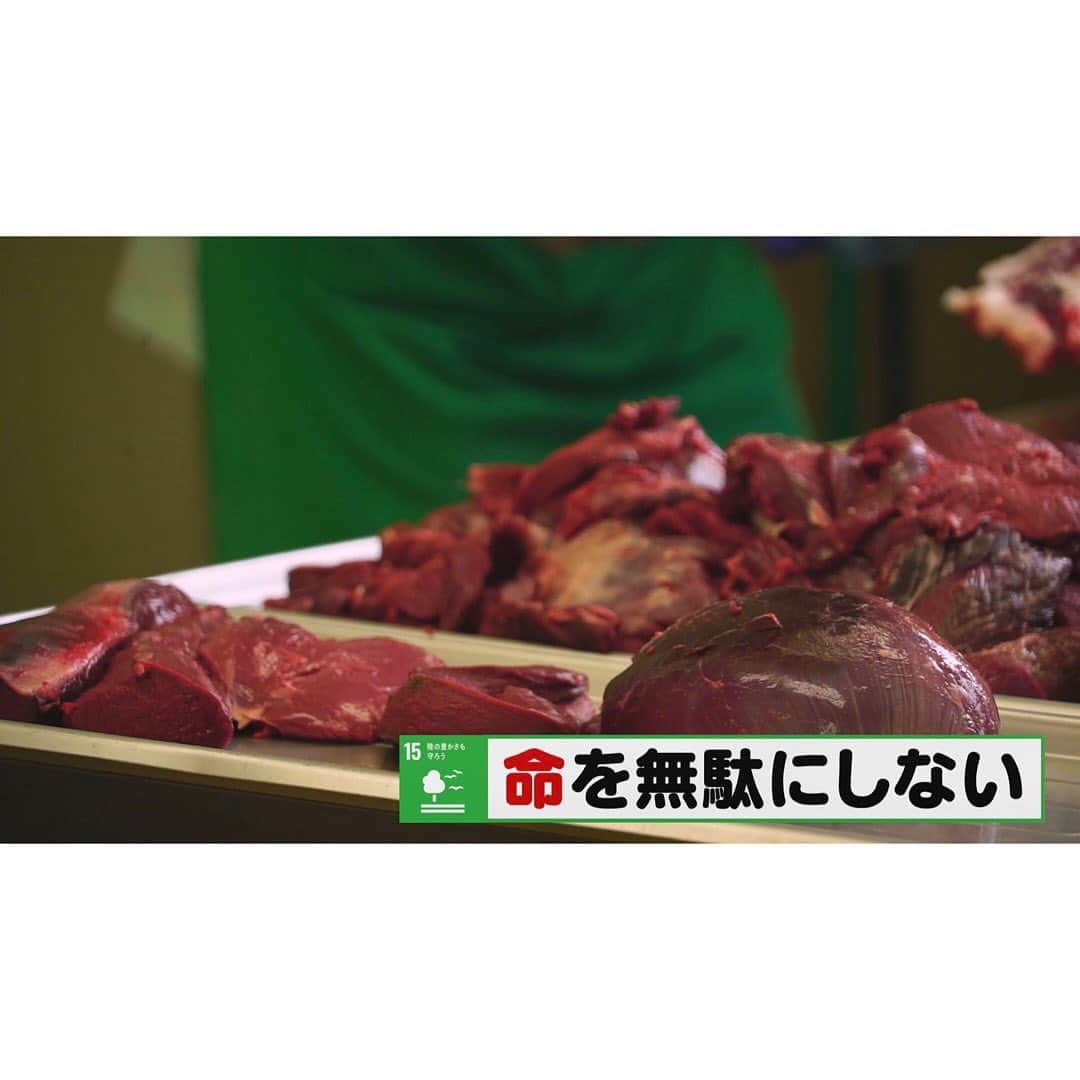 上坂嵩さんのインスタグラム写真 - (上坂嵩Instagram)「ジビエ料理🍀 . 愛知県東郷町にあるジビエレストラン「 #zoi 」。 . レストランで提供される #ジビエ料理 の数々。  使われているのは、 豊田市で「 #害獣 」として駆除された #イノシシ や #シカ などの動物たちの肉。 . 豊田市によると、 市の獣類による農作物の被害金額は、年間約8700万円。  「 #獣害 」は、深刻な問題となっています。 . 地元の農作物を守りつつ、 人間の都合で駆除した「命」も無駄にしない。  . 食べることで「獣害」の問題に向き合う、 まさに「SDGsなランチ」です。 . またレストランは #就労継続支援B型 という形態で #障害がある人 の就労を支援。 . 厚生労働省によると、 全国のB型就労支援の場で支払われている工賃は、 平均で、時給233円。  . このレストランでは、工賃時給1000円を保証。 障害がある人が自立して暮らしていける環境を目指します。 . 「獣害」や「障害者雇用」など 様々な社会の課題と向き合う #ジビエレストラン の挑戦は続きます。 . . #ジビエ #猪 #鹿 #レストラン #愛知県 #東郷町  #障害 #障害者雇用  #SDGs #SDGs2030 #持続可能な開発目標 #陸の豊かさも守ろう #人や国の不平等をなくそう #働きがいも経済成長も #メーテレ #アップ #アナウンサー #フィールドキャスター #ニュースワード #SDGsビジネスマスター #上坂嵩」6月20日 22時22分 - takashi_uesaka_nbn