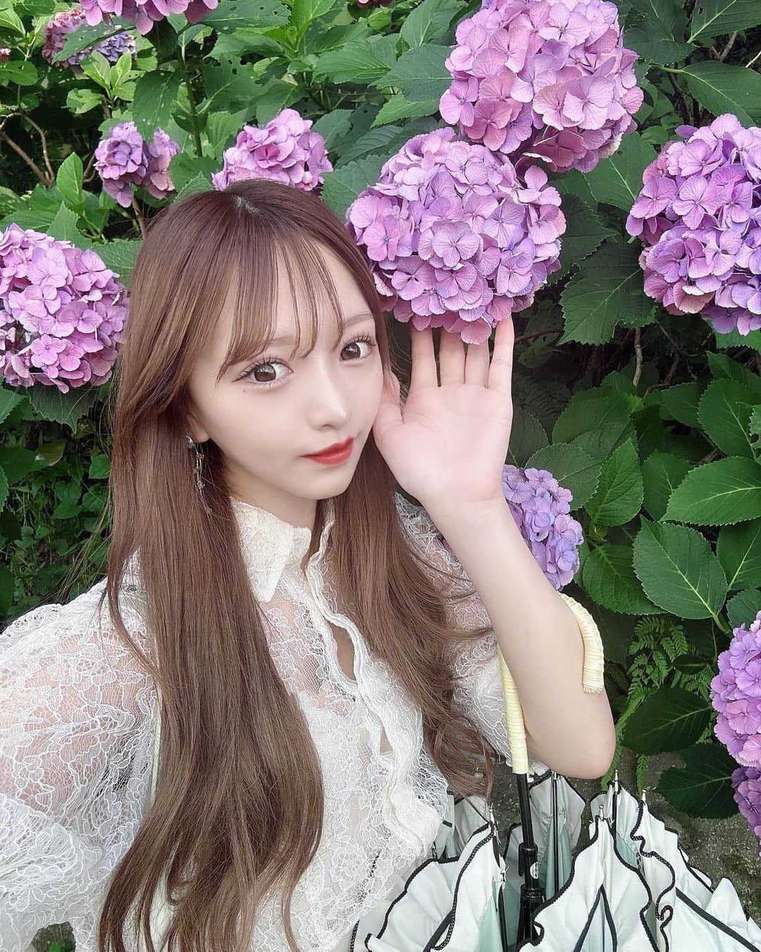 のインスタグラム：「… 紫陽花沢山咲いてた😆❣️」