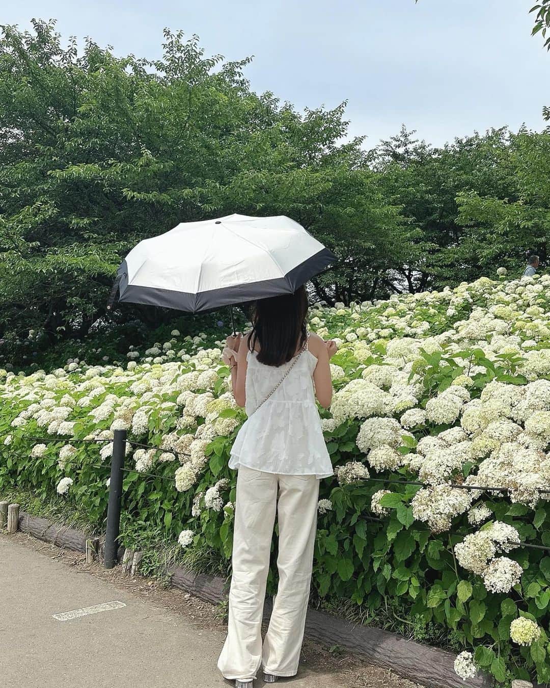 計良日向子（ひなひ）さんのインスタグラム写真 - (計良日向子（ひなひ）Instagram)「. 権現堂公園のあじさいまつり🌂🤍 . . . 今年も綺麗なあじさいが見れた💕 権現堂公園に行くの初めてだったん だけど、入口から真っ白のあじさいが たくさん咲いてて綺麗すぎた🫶🎀 (あじさいまつりは25日までの開催♡) . . . 今年は @_novae.jp_ の日傘をget💞 日が強くなってきたから日傘は必須❕ 晴雨兼用だから梅雨の時期にも大活躍で 毎日持ち歩いてるよ♡ 期間限定で一部商品が割引されてる みたいなので、ぜひチェックしてみてね🌼 . . . 👗トップス　@merryjenny_instagram . 👗デニム　@uniqlo_jp . . . . #あじさい祭り #紫陽花まつり #あじさい #お花畑 #権現堂公園 #日傘 #日傘女子 #merryjenny #メリージェニー #uniqloコーデ #ユニクロコーデ」6月20日 22時26分 - kerahinako1105