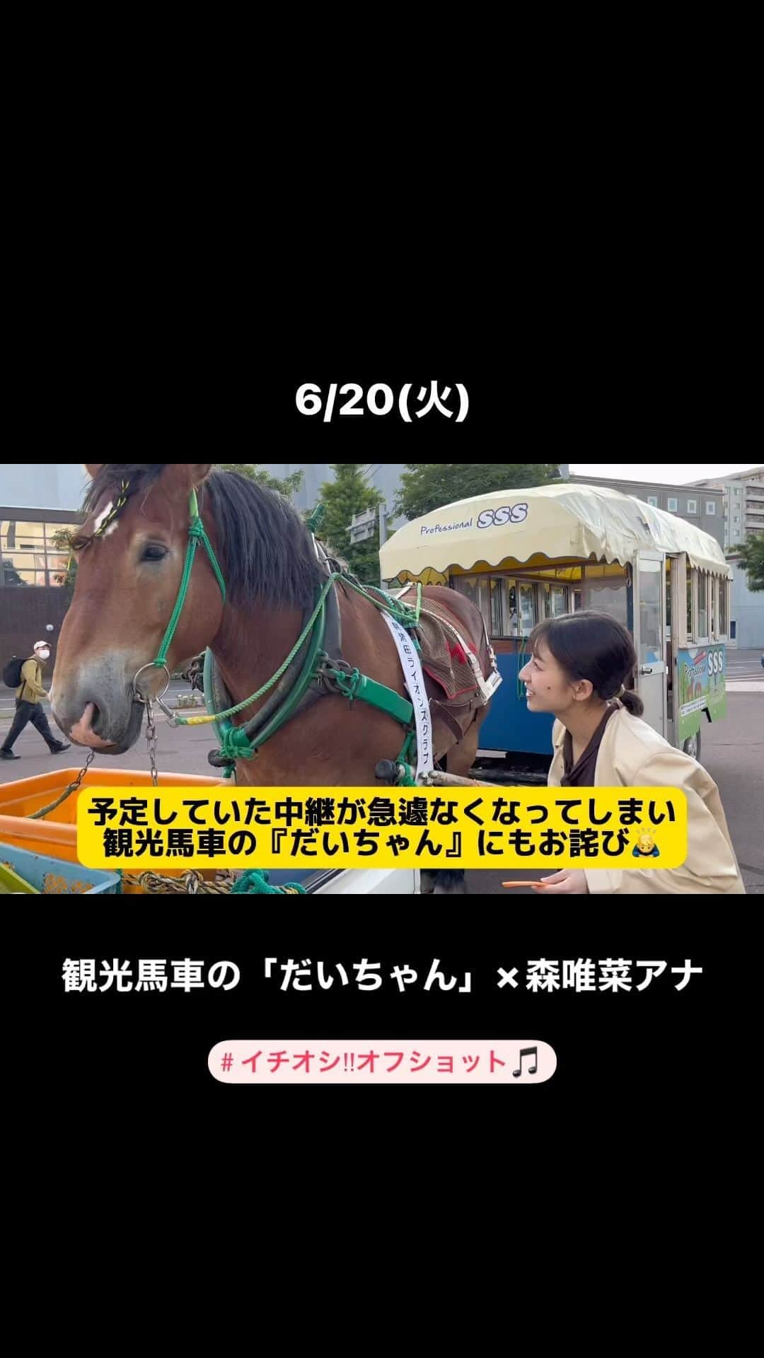 HTB「公式イチオシ！」のインスタグラム：「6/20(火)  イチオシ!!オフショット🎵  きょうは18時台のイチオシで 観光幌馬車から生中継をさせていただく予定でしたが ニュースの都合で急遽中止に・・・😢  そこで！！本編ではご紹介できなかった 森唯菜アナと『だいちゃん』の模様を インスタグラム限定でお届けします🙇‍♂️  #イチオシ #森唯菜 #だいちゃん #観光幌馬車 #札幌観光  ※文字の見切れがあったので再掲します🙇‍♂️」
