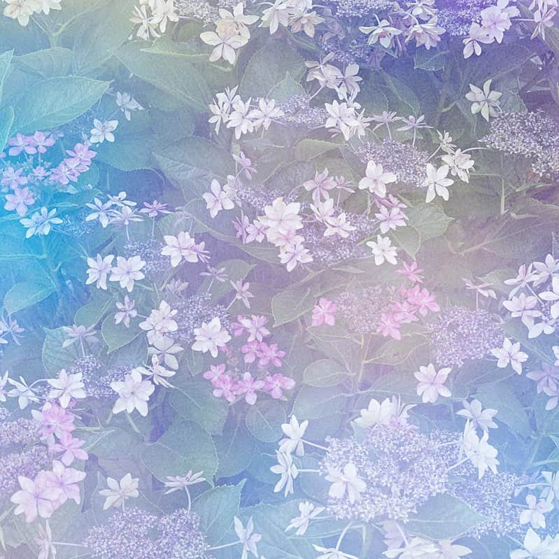 荒井沙織のインスタグラム